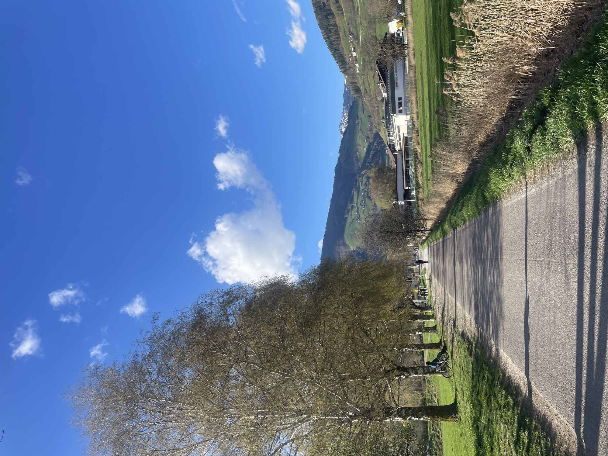 The image captures a road in Sterzing-Vipiteno, Italy, lined by trees on one side and fields and buildings on the other. A bicycle leans against one of the trees. Further down the road, there are individuals walking and parked vehicles. In the distance, mountains rise, partially covered with snow. The sky above is blue with scattered clouds. Shadows cast by the trees stretch across the road surface. Adjacent to the road is a patch of brown, reedy plants.