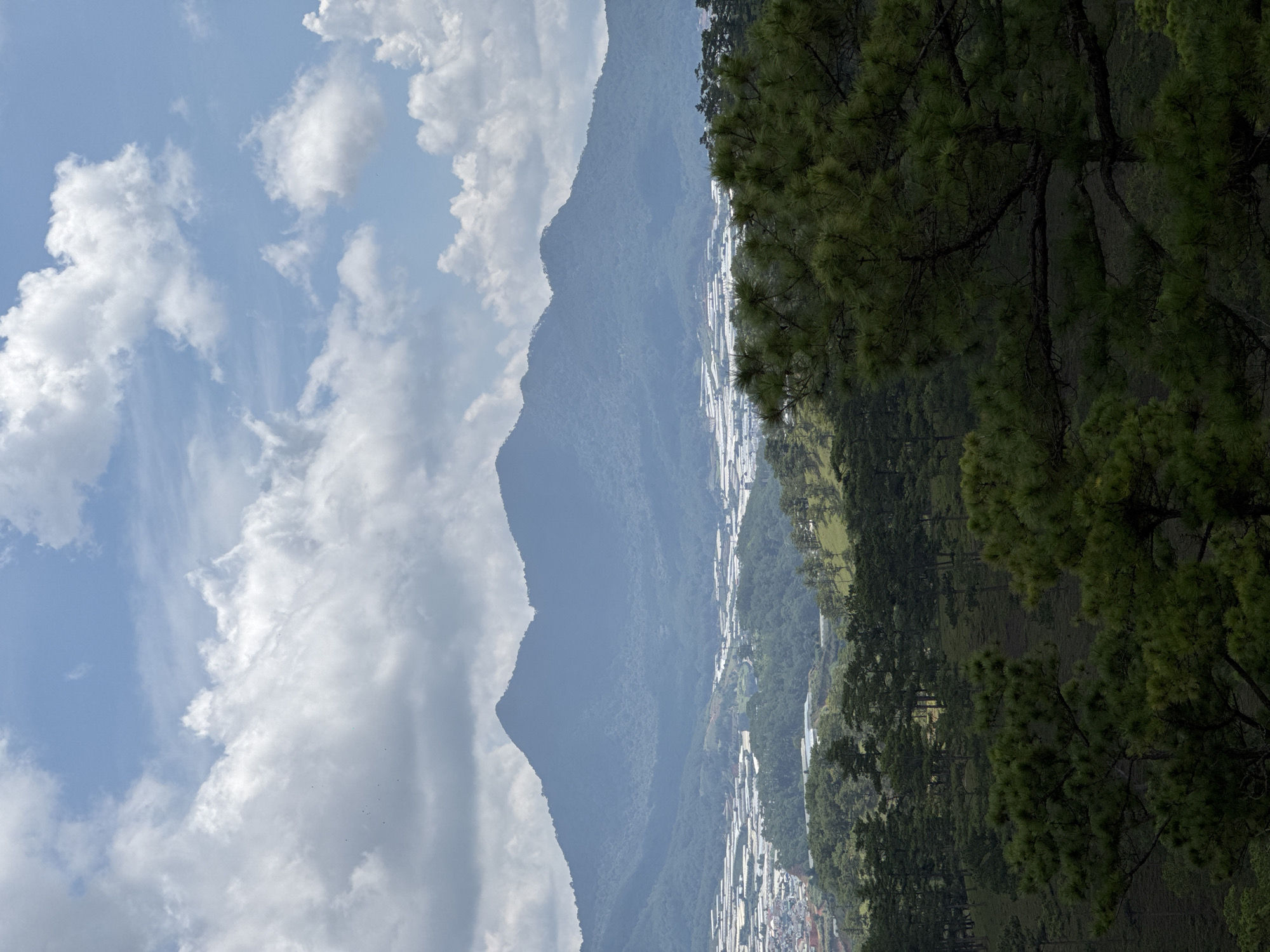 The image shows a view of Lạc Dương, Vietnam. A mountain range is visible on the left side of the image, with clouds in the sky above. Below the mountain, there is a valley filled with greenhouses. Pine trees line the right side of the image, partially obscuring the view of the valley.