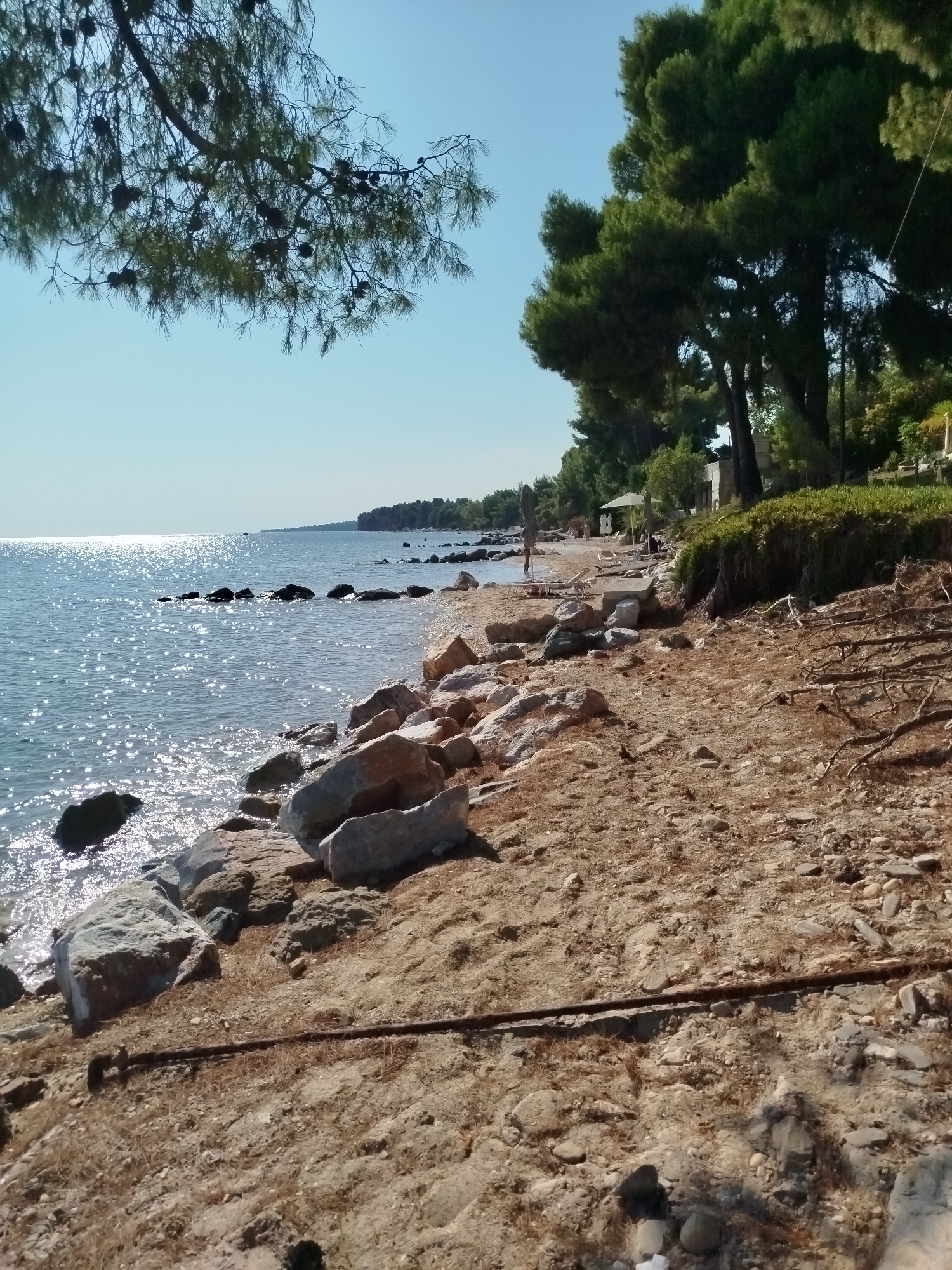The image depicts a sun-drenched beach in Sithonia, Greece, with the clear blue sky and sparkling sea dominating the scene. The foreground is a rocky shoreline, with various sizes of stones and sand covering the ground. A long, rusty metal object lies horizontally across the sand. To the left, the tranquil sea stretches out, with numerous rocks emerging from the water. In the distance, a tree-lined coast is visible under the bright sun. Further inland, on the right side of the image, dense green trees provide shade, with some structures and beach furniture, including lounge chairs and umbrellas, scattered on the sandy area. A solitary person stands near the water's edge, and other figures are seen in the distance on the beach. The overall impression is a serene coastal landscape on a clear, sunny day.