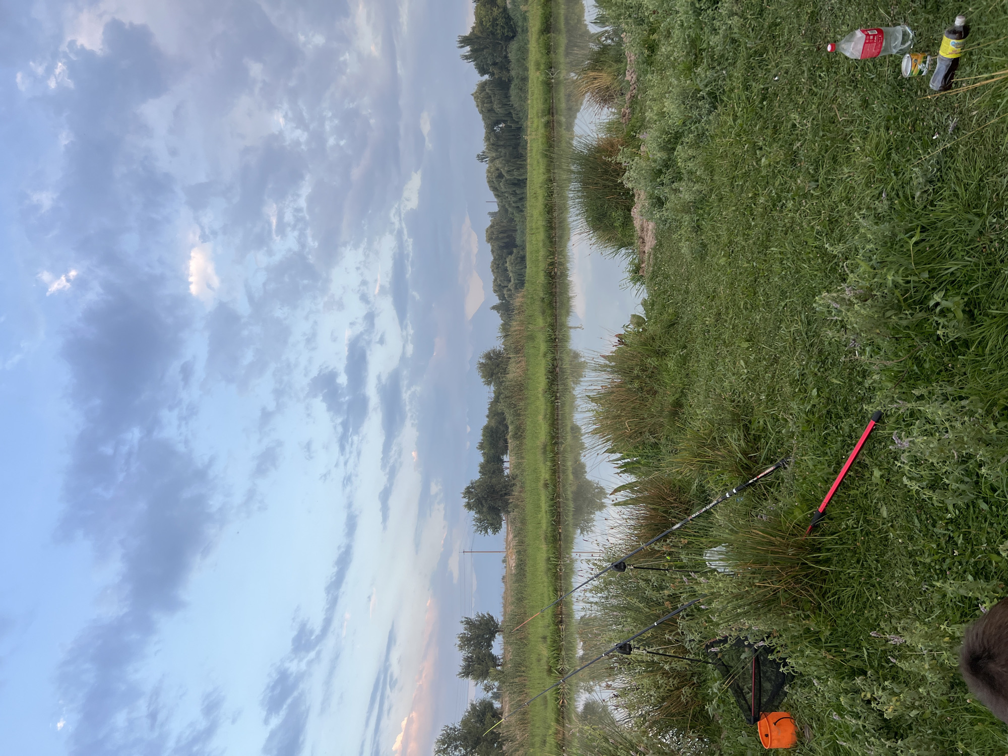 The image depicts a natural outdoor scene in the vicinity of Дачное, Kyrgyzstan, likely during dusk or dawn given the soft lighting and sky colors. In the foreground, lush green grass covers the ground, interspersed with patches of wild vegetation. To the left, fishing equipment is set up, including two fishing rods propped on stands, a fishing net, and an orange bucket. A red-handled tool lies on the grass nearby. Further to the right, on the grass, are a large plastic bottle of red liquid and two cans, one of which appears to be a beverage. In the midground, a tranquil body of water, possibly a lake or pond, reflects the sky and the surrounding greenery. The water is bordered by dense reeds and grasses. In the background, a line of trees forms a natural boundary, with mountains visible in the far distance under a cloudy sky. The overall atmosphere is one of peaceful recreation and natural beauty.