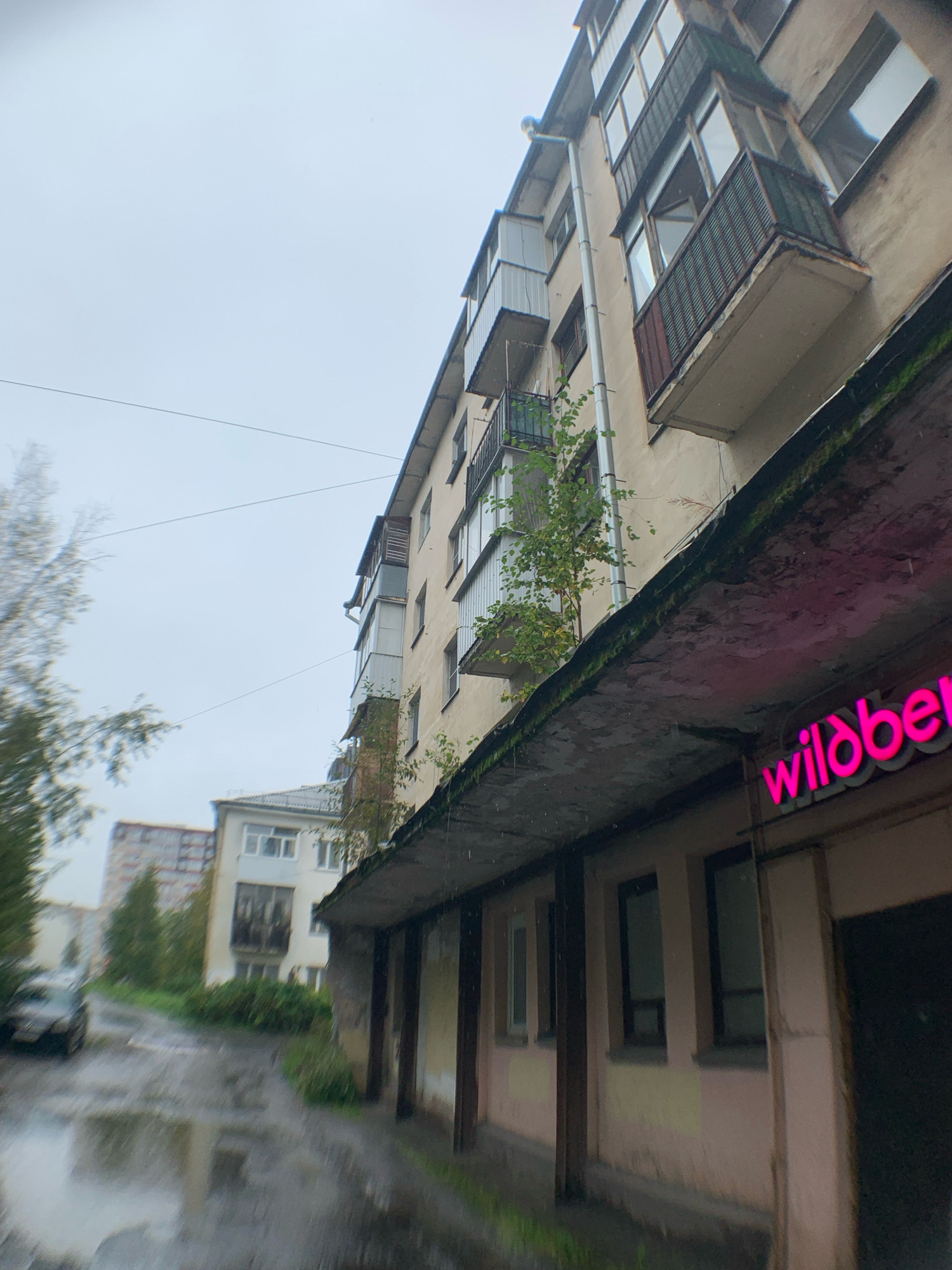 The image depicts a street scene in Arkhangelsk, Russia, characterized by overcast weather and rain. The foreground is dominated by the exterior of a building with a pink facade and a projecting roofline, partially obscured by rain. A neon sign with pink lettering, partially visible and reading "wildberr," is affixed to the building's facade. The street in front of the building appears wet and reflective, indicating recent rainfall, with puddles visible.
Further down the street, a multi-story apartment building with balconies is visible, its beige facade showing signs of weathering. Trees and vegetation grow on the balconies and around the base of the building, some appearing somewhat overgrown. In the background, another apartment building with a patterned facade is discernible. A dark-colored car is parked on the left side of the street. The overall atmosphere is somber, reflecting the cloudy and rainy conditions. The composition is a low-angle shot, looking upwards towards the buildings and sky. There are no people or active interactions visible in the frame. The image captures a mundane urban environment under adverse weather conditions.