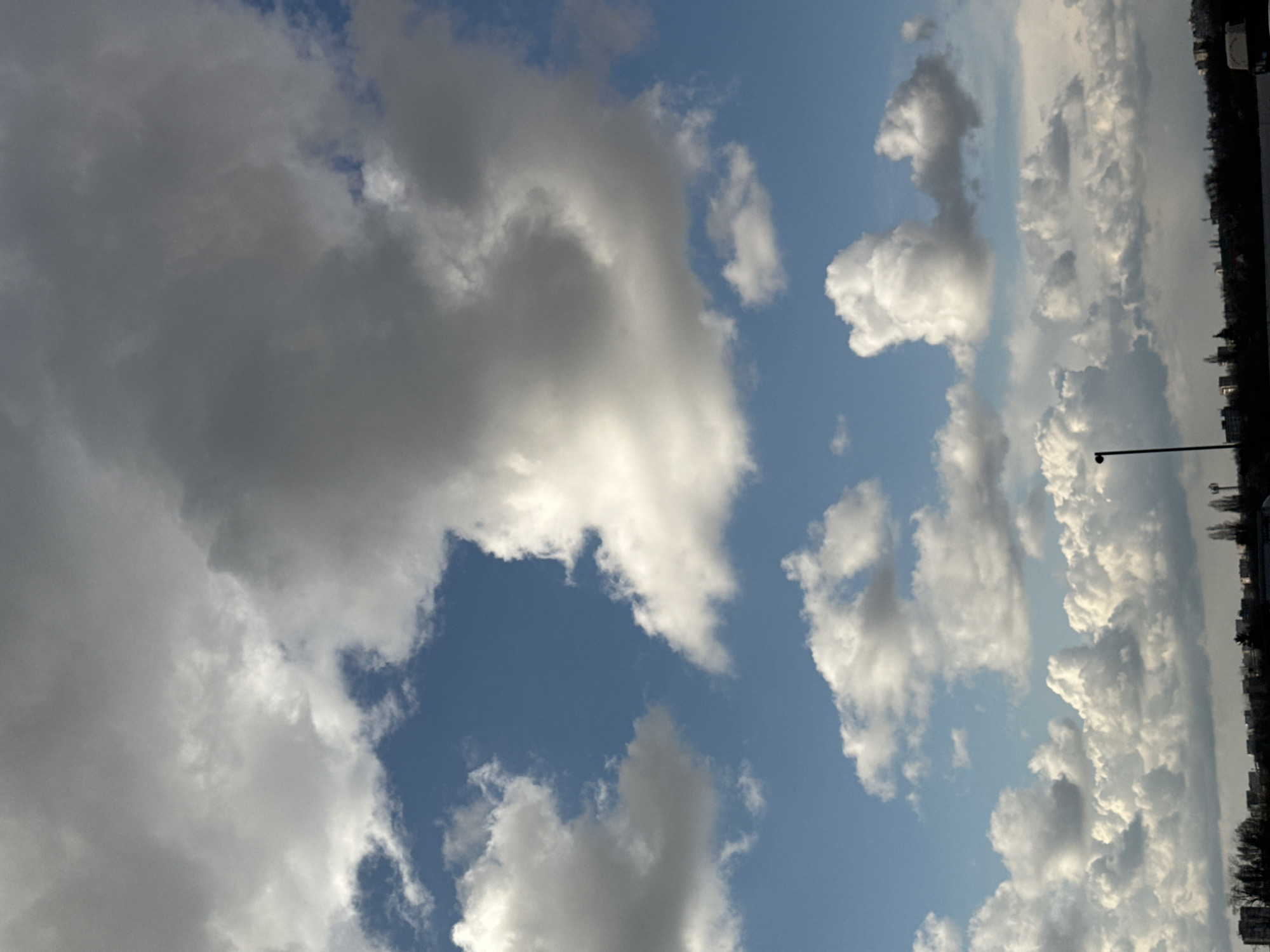 The image shows a sky filled with cumulus clouds, ranging from light and fluffy to dark and ominous. The sky color ranges from light blue to an almost overcast grey. At the bottom right of the image, there is a line of trees and buildings, presumably located in the city of Rostov-on-Don, Russia. A streetlight pole is also visible in the lower right corner.