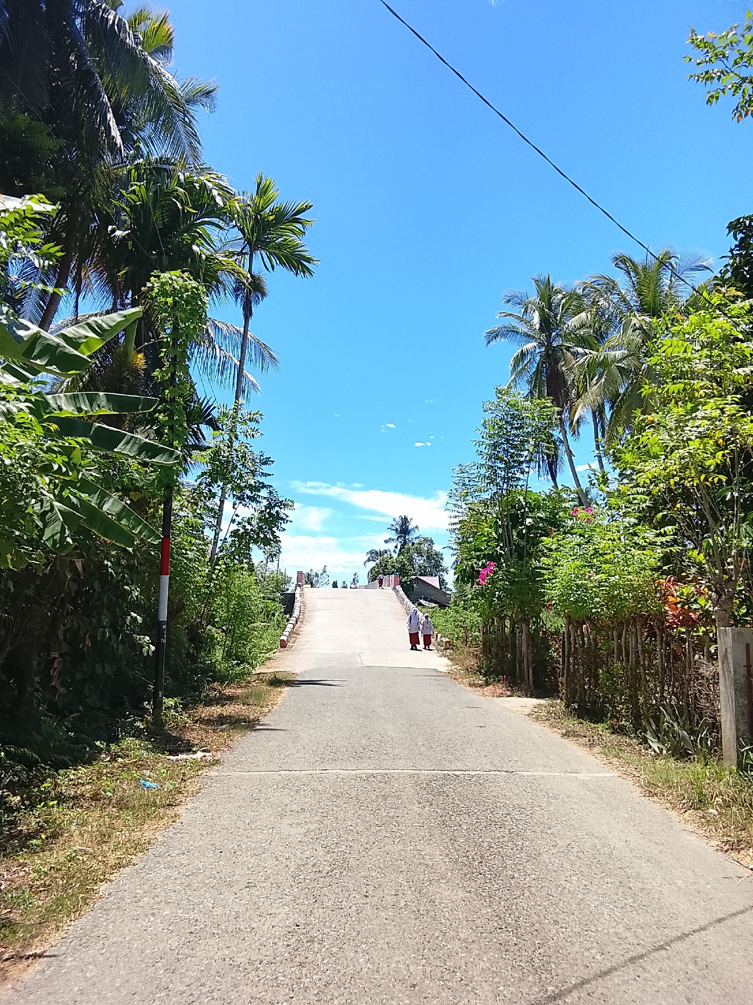 The image depicts a paved road leading uphill towards a bridge under a clear blue sky with scattered clouds. Lush green vegetation, including palm trees and banana plants, lines both sides of the road. A wooden fence is visible on the right side of the road. Two individuals, one possibly an adult and the other a child, are walking up the road towards the bridge. The scene is consistent with a rural or suburban area in Rhieng Mancang, Indonesia.