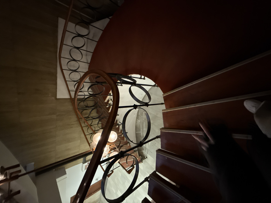 The image depicts an indoor, high-angle downward view of a person descending a wide spiral staircase. The location is identified as Barabar Skapto Sofia, situated at bul. "Vitosha" 20, 1000 Sofia Center, Bulgaria.
The staircase features reddish-brown wooden treads with lighter edges and a dark metal balustrade characterized by a repeating pattern of interconnected circular elements, topped with a smooth, dark wooden handrail. Illumination is provided by a central fixture with three spherical, textured glass bulbs.
A person's right foot, wearing a white sneaker, is visible on a lower stair tread, indicating movement downward. A blurred left hand, wearing a dark sleeve and exhibiting reddish fingernails, is positioned mid-descent, further confirming motion.
The surrounding environment includes light brown wooden paneling on the upper walls and a section of white wall on the upper right. Below the staircase, through the balustrade, wooden tables and chairs are partially visible, suggesting a dining or lounge area. The scene is uniformly dim, with localized ambient lighting from the central fixture. No other individuals are discernible.