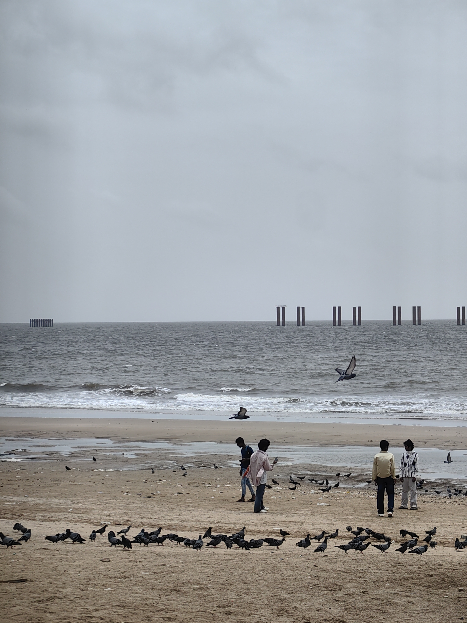 The image depicts a cloudy day at Girgaum Chowpatty beach in Mumbai, India. The sandy shore is populated by a flock of pigeons, with several people scattered across the beach. In the distance, the Arabian Sea churns with moderate waves, and a series of tall, rectangular structures, possibly remnants of a construction project, rise from the water. Two of the structures are close together, while others are spaced further apart. The sky is overcast, contributing to a muted color palette of grays and muted blues. One pigeon is captured mid-flight, its wings outstretched, while another is seen landing near the water's edge. A group of four individuals, appearing to be young men or teenagers, are visible on the beach. One is looking down at his phone, another is gesturing, and two others are standing and looking towards the sea. The beach itself shows signs of recent tide activity, with damp sand and shallow puddles.