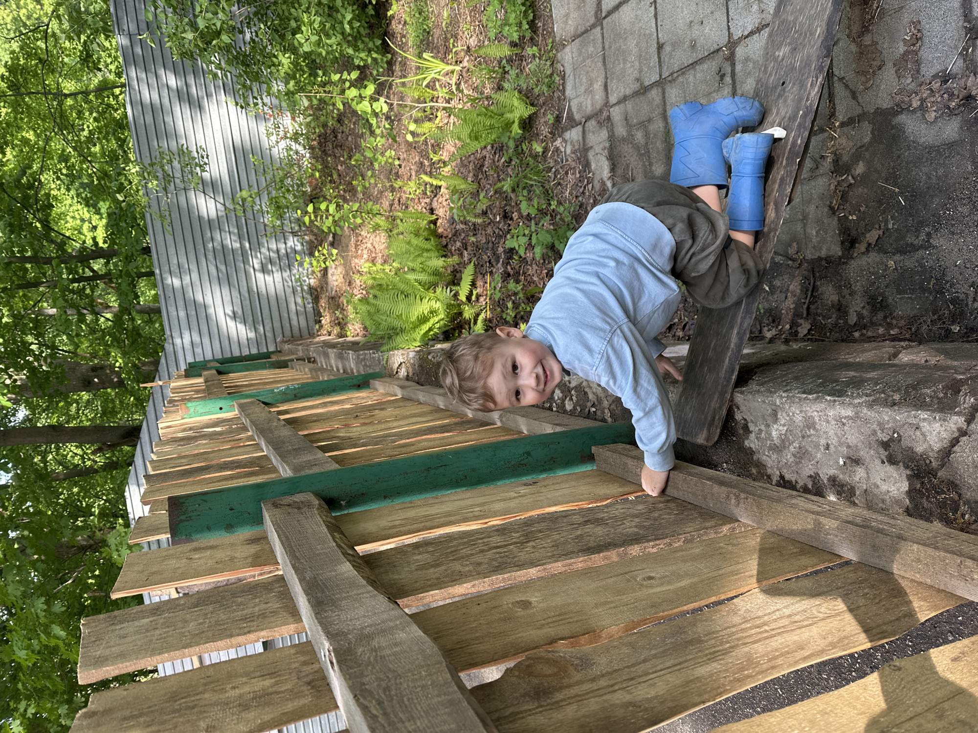 A young child wearing blue rain boots, a light blue long-sleeved shirt, and dark shorts is seen upside down, holding onto a wooden structure with green accents. The structure appears to be a fence or a raised garden bed. The child is smiling at the camera.
Behind the child, there is a patch of ferns and other greenery. To the left, a gray corrugated metal building is partially visible, framed by trees. The ground is covered in paving stones and dirt.