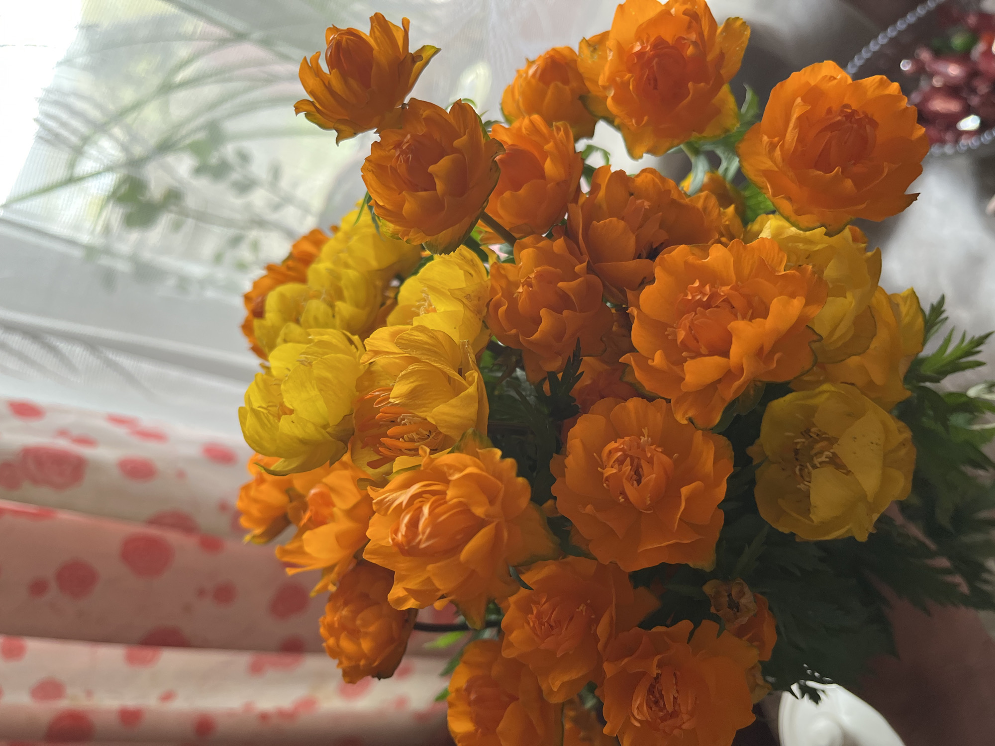 A close-up, indoor shot features a bouquet of orange and yellow flowers, possibly Trollius, in a vase. The flowers are densely packed and their vibrant colors are illuminated by natural light filtering through a window with sheer white curtains. The curtains have a subtle pink circular pattern visible on the left side of the frame. In the background, out of focus, are hints of foliage, suggesting the flowers are near a window with plants. The bottom right of the image shows a sliver of a decorative dish containing what appears to be dried berries or similar items. The overall scene evokes a sense of domesticity and is set within a city, possibly Petropavlovsk-Kamchatsky, Russia, given the context. There are no people or animals present in the image, and no actions or interactions are depicted. The focus is solely on the floral arrangement and its immediate surroundings.