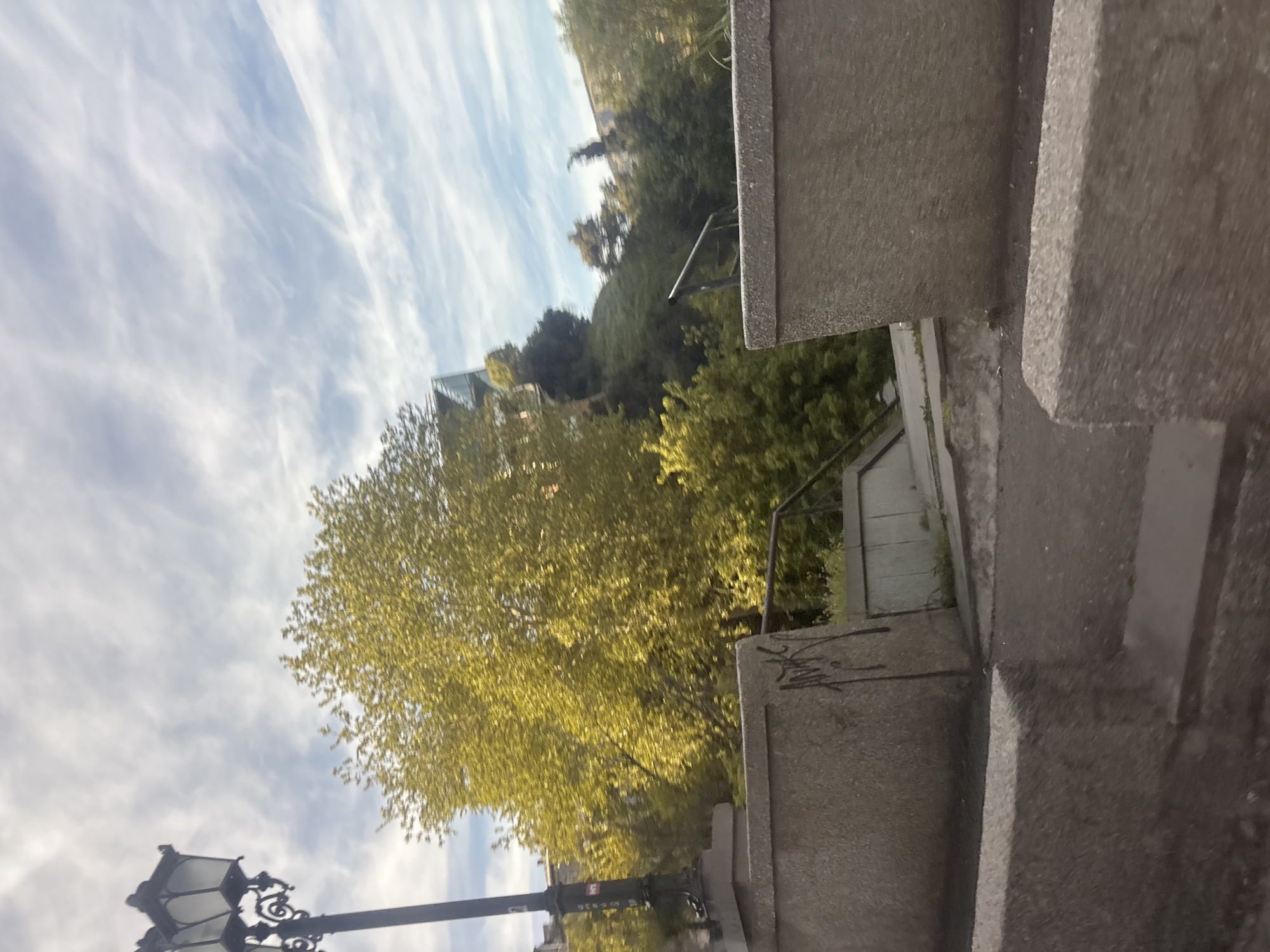 A street scene in Tbilisi, Georgia, viewed from a high angle near stone steps. A yellow-leaved tree is prominently positioned against a blue sky with streaky clouds. Below the steps, an ornate black lamppost is visible. In the background, a building and additional trees are present. The steps appear to be old, with graffiti on the side. A metal handrail is also visible. The overall environment suggests a park or public space.