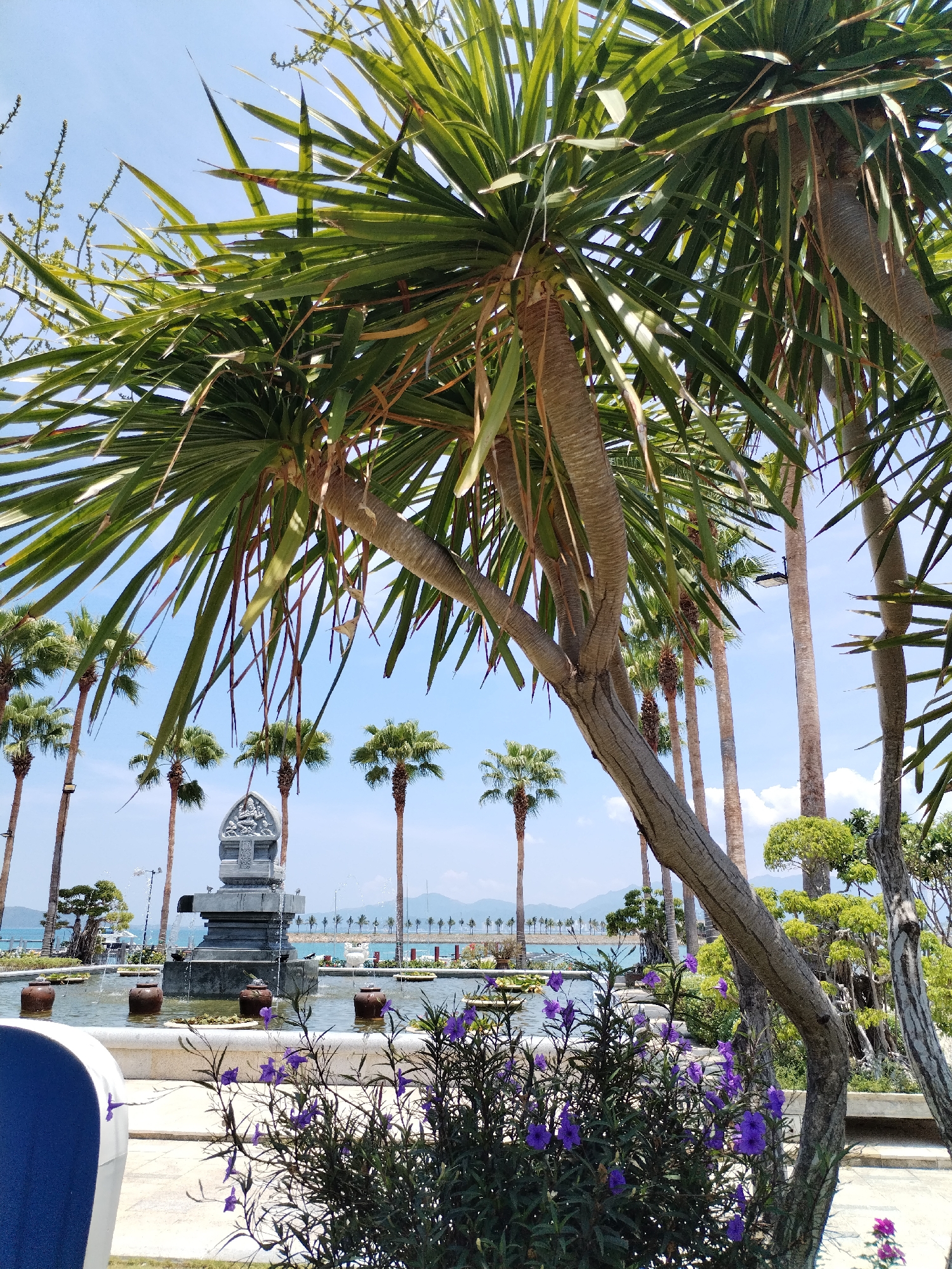 Captured in Bac Nha Trang Ward, Vietnam, the image presents a scene marked by a combination of natural and artificial elements. The foreground is dominated by a cluster of green plants with purple flowers, juxtaposed with the textured bark of palm trees. A water feature, possibly a pond or fountain, is visible, containing floating objects and a stone structure centrally placed. In the distance, additional palm trees line the horizon against a backdrop of the sea and sky. The overall color palette is composed of verdant foliage, the cool tones of water and sky, and the neutral tones of the stone and palm trees.