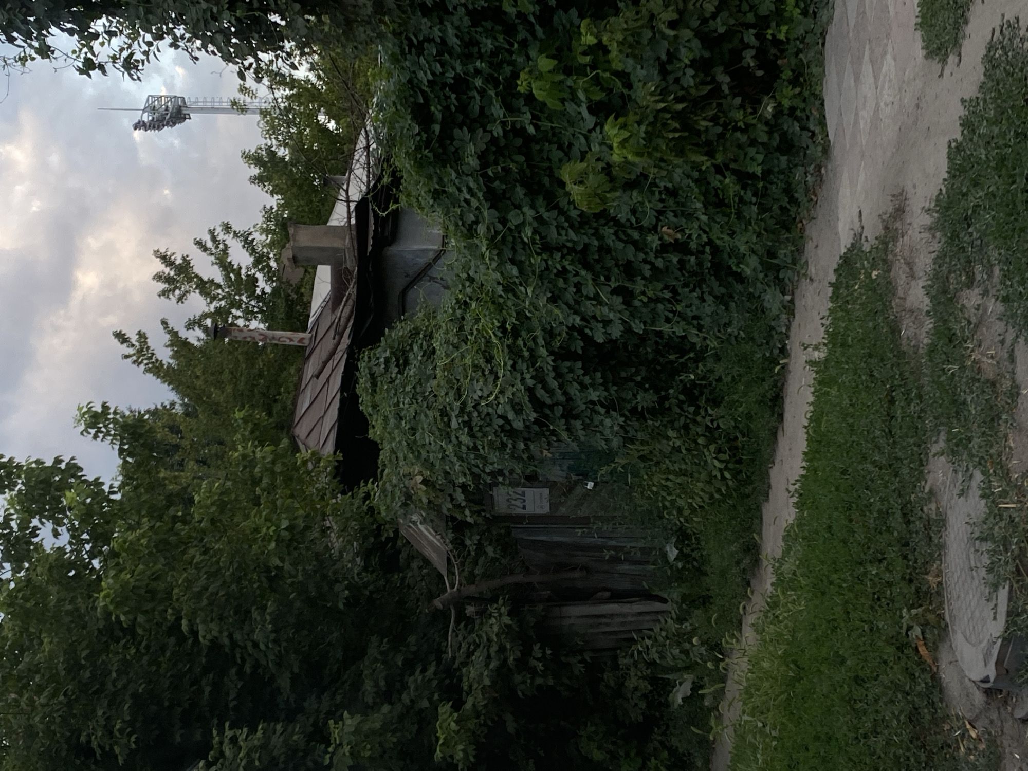 This image captures a slightly overgrown residential property with a narrow, unpaved walkway in the foreground, leading to a wooden gate and fence obscured by dense green foliage. A house with a corrugated metal roof is visible behind the vegetation. A sign with the number "232" is affixed to the gate. In the background, a tall, industrial-looking lighting tower stands against a cloudy sky. The scene suggests a rural or semi-rural setting within Bishkek City, Kyrgyzstan, characterized by dense vegetation and older structures.