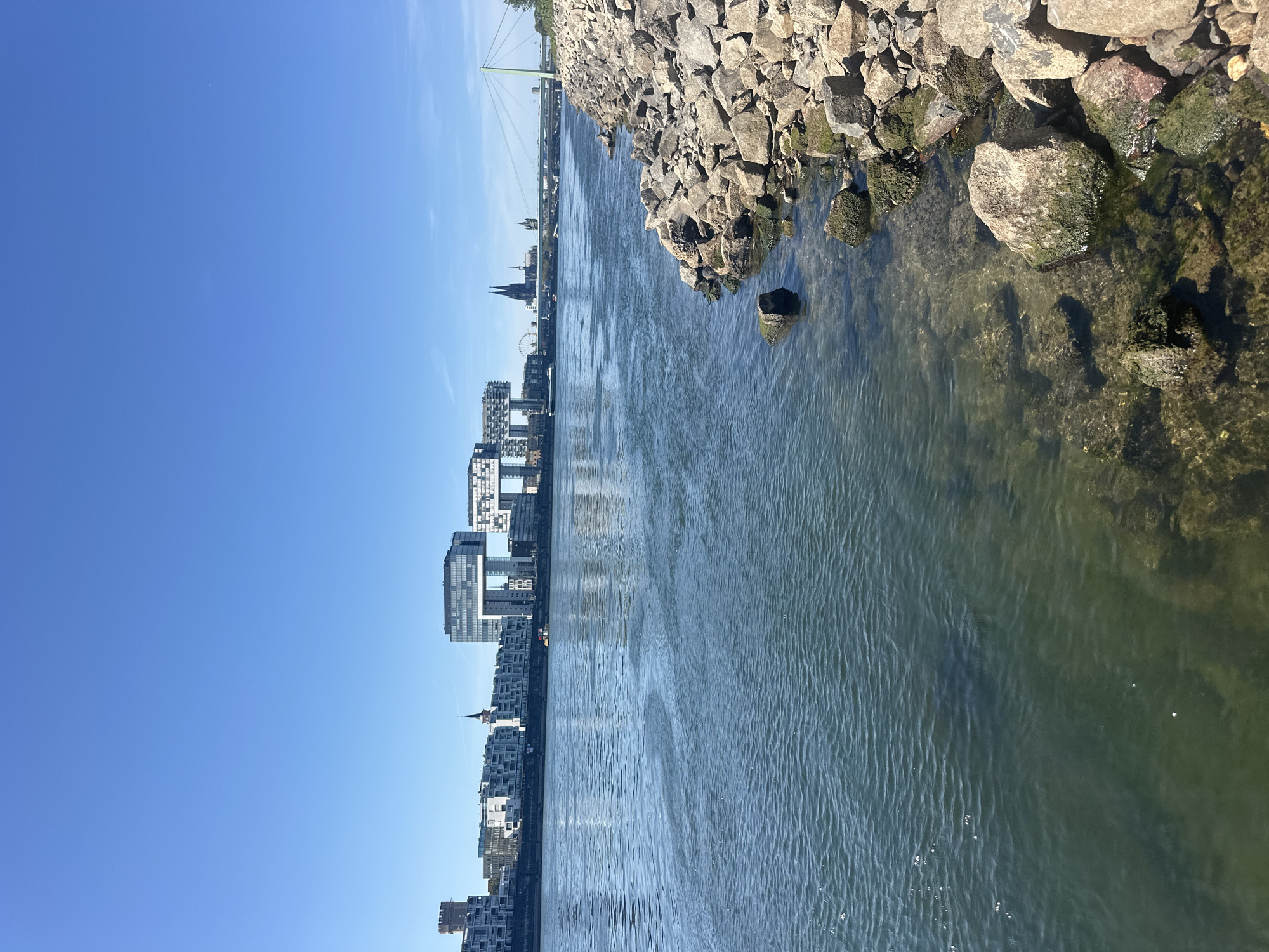 The image depicts a wide, rippling river flowing alongside a rocky embankment. In the background, the Cologne skyline is visible under a clear blue sky. Prominently featured are the Kranhäuser, a set of three modern buildings with distinctive block-like structures that appear to crane over the river. To the right of the Kranhäuser, the Cologne Cathedral's spires rise above other buildings, and a green suspension bridge spans the river in the distance. The water is a deep blue-green, with sunlight reflecting off its surface, creating a shimmering effect. The foreground is dominated by the rocky shore, with large, irregularly shaped stones and some vegetation growing on them, indicating they are partially submerged in the water. The scene is tranquil and captures a sunny day in Cologne, Germany.