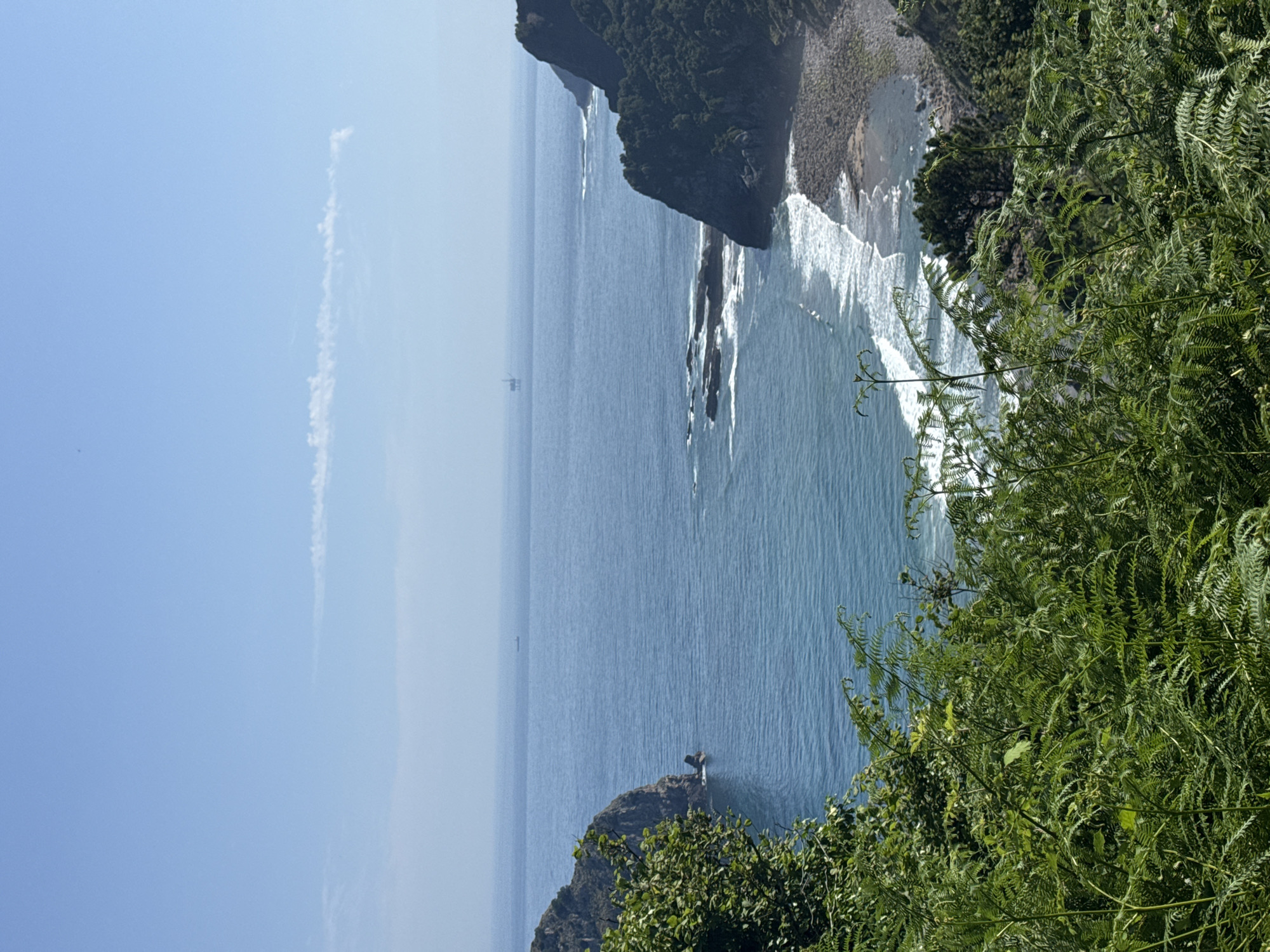 The image shows a scenic view of the coast near Bakio, Spain. In the foreground, lush green ferns and other foliage are dominant, creating a natural frame for the scene. Beyond the vegetation, the blue ocean stretches out to the horizon. Rocky cliffs covered in dark green vegetation descend to the sea on the right side of the image. A small, rocky beach is visible at the base of these cliffs, with waves crashing onto the shore.
In the mid-ground, the ocean water is a deep blue, with white foam from breaking waves near the coast. A few rocky outcrops are visible in the water. In the far distance, the sea is calmer, and a faint haze is present. Two man-made structures are visible on the water: a ship on the left and an oil rig on the right. The sky above is a clear, pale blue with a few wispy white clouds. The overall impression is one of a natural coastal landscape on a sunny day.
