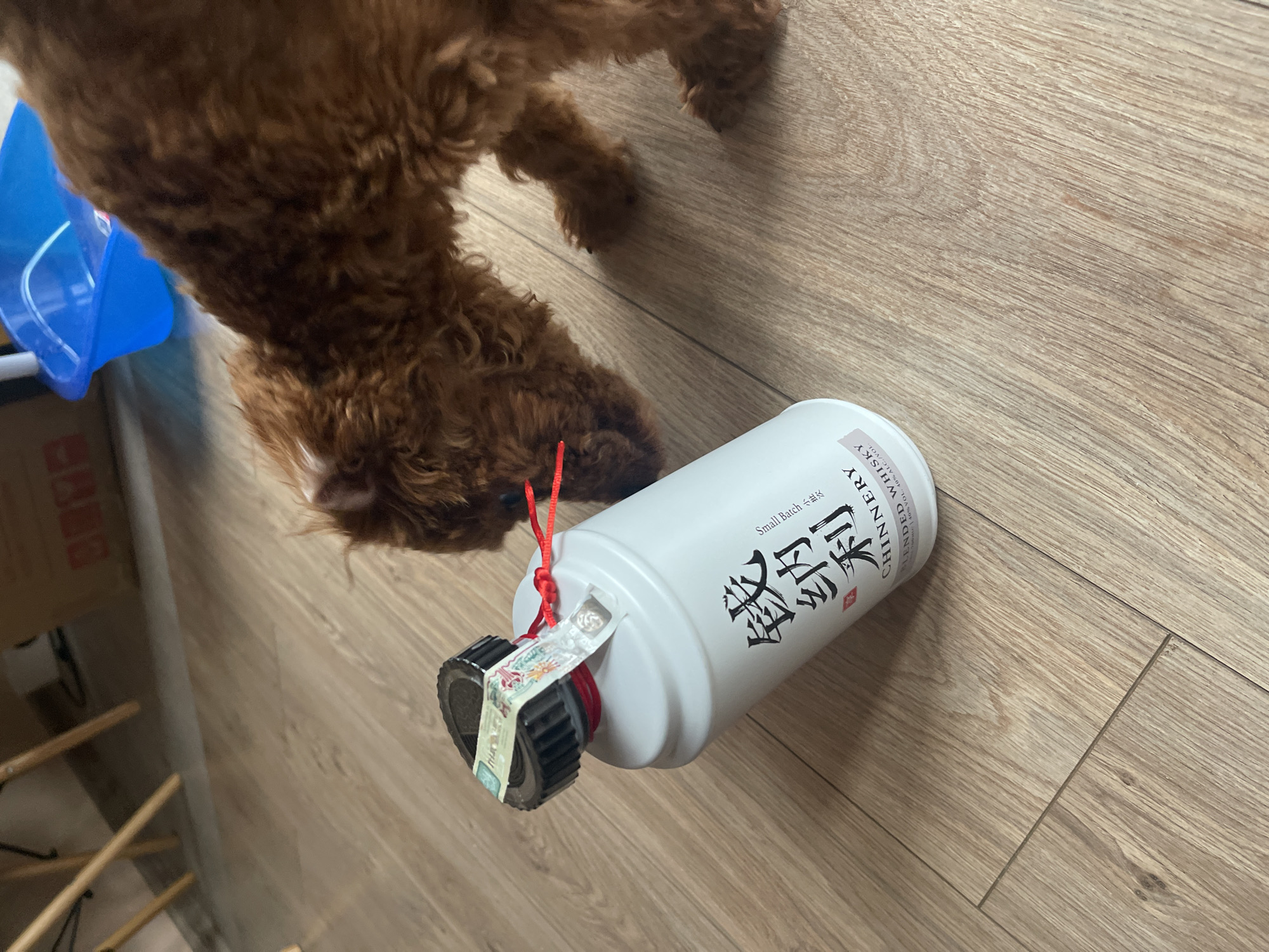 A high-angle shot shows a brown poodle partially in the frame, a white bottle of Chinnery blended whiskey, and a light-colored wooden floor. The bottle, positioned horizontally, has a black and silver cap secured with a red cord. A tag is attached to the cap. Text in both English and Chinese is printed on the bottle's side. The floor is made of planks running horizontally across the frame. A blue plastic object is partially visible on the left side, and a box with red markings is also present in the lower-left corner. The environment appears to be indoors.