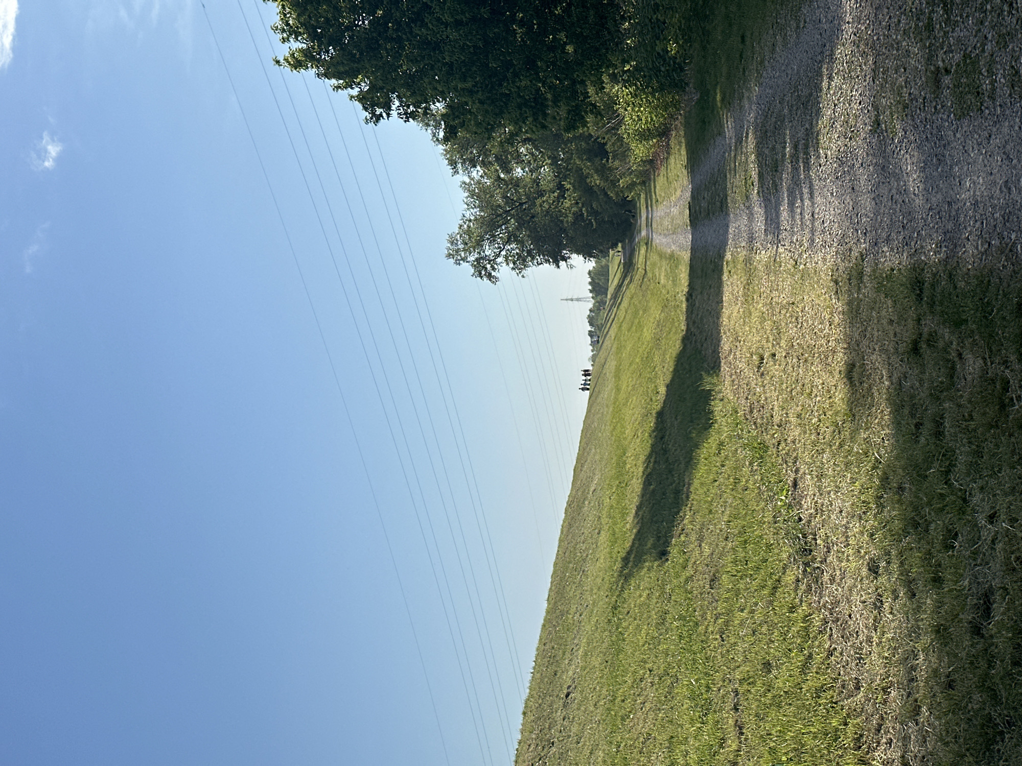 The image captures a sunny, clear day in a rural or semi-rural landscape, likely morning or late afternoon due to the long shadows cast. The vast sky, a clear light blue with a few faint wisps of white cloud in the upper left, dominates the left two-thirds of the frame. Several thin power lines stretch diagonally across the sky, originating from the mid-left and extending towards the upper right.
On the right side of the frame, a winding dirt or gravel path cuts through a vibrant green, grassy field. Lush green trees and dense foliage line the right edge of the path, creating a natural border. Long, distinct shadows fall across sections of the path and the adjacent grass, indicating a strong light source from the side.
In the distance, along the path, a small group of approximately three to four people can be observed walking away from the viewer. They are very small and indistinct due to their distance. Further in the background, a tall power line pylon is faintly visible against the horizon. The foreground and mid-ground grass shows variations in texture and color, with some areas appearing slightly drier.
The scene depicts an outdoor activity, suggesting a walk or hike. No visible text is present in the image. This serene setting is located in the City of Zagreb, Croatia.