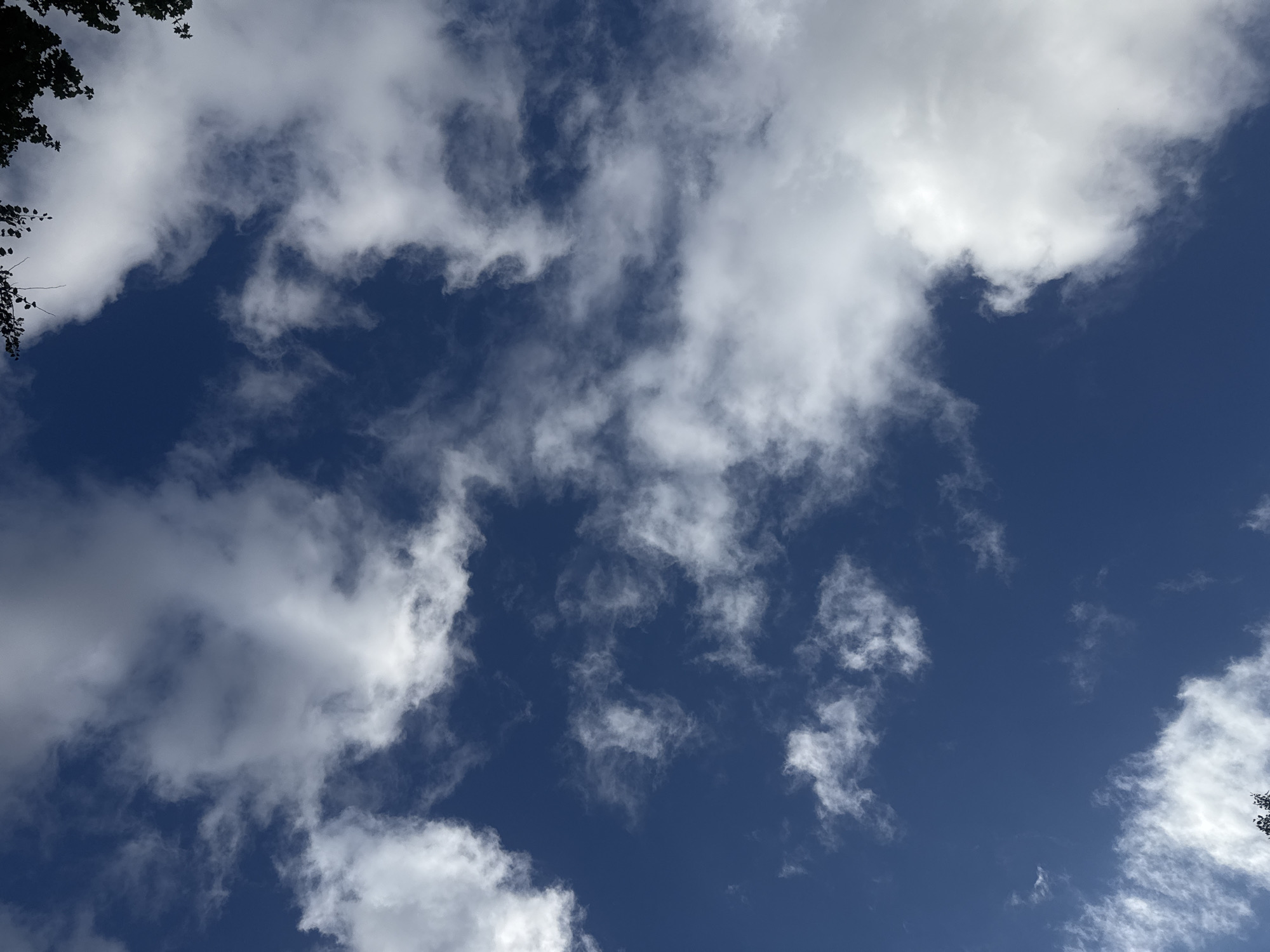 The image displays a deep blue sky dotted with scattered white clouds. The clouds vary in size and density, with some appearing wispy and thin, while others are more voluminous and opaque. The angle of the shot suggests it was taken from ground level, looking upwards. There are no visible people, subjects, or actions in the image. A small portion of dark green foliage, likely from trees, is visible in the upper right and lower portions of the frame, suggesting an outdoor environment. The location is identified as Sovkhoza imeni Lenina, Russia. The scene is serene and natural, with the sky and clouds being the primary focus.