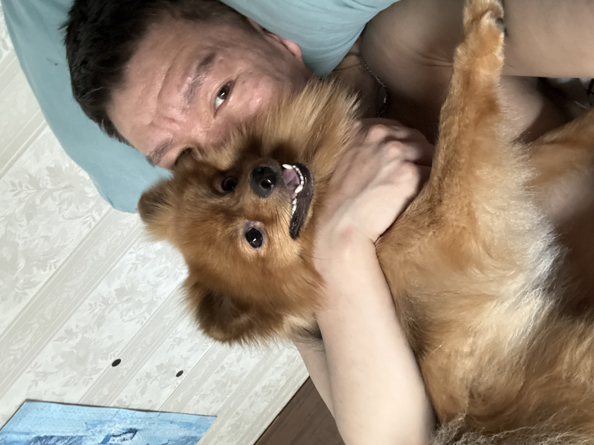 In a bedroom in Khimki, Russia, a man and a Pomeranian dog are lying down, embracing. The man, with dark hair and a visible tattoo on his chest, is lying on his side with his head resting on a light blue pillow. The dog, a small, fluffy, reddish-brown Pomeranian, is held close to the man's chest, with its head resting on the man's shoulder. The dog's mouth is open, and its tongue is visible, suggesting it might be panting or smiling. The background shows a white patterned wallpaper and a sliver of a framed picture on the wall. The overall scene depicts a moment of affection and closeness between the man and his dog.