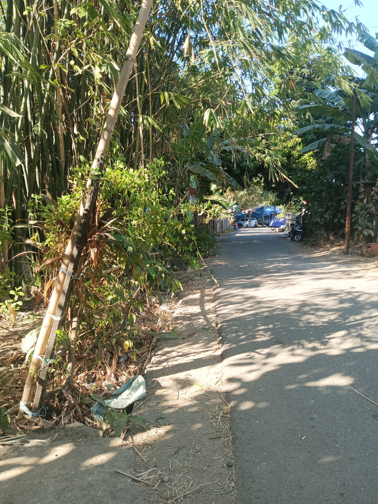 The image depicts a paved road in Tumampua, Indonesia, bordered by lush vegetation, including bamboo stalks and banana trees. The road appears to be a residential street, with some structures visible in the distance, including what appear to be tarps or makeshift shelters. A white car and a motorcycle are parked on the side of the road. Sunlight casts dappled shadows across the pavement, indicating a bright, sunny day. The overall scene suggests a somewhat rural or semi-urban environment.
