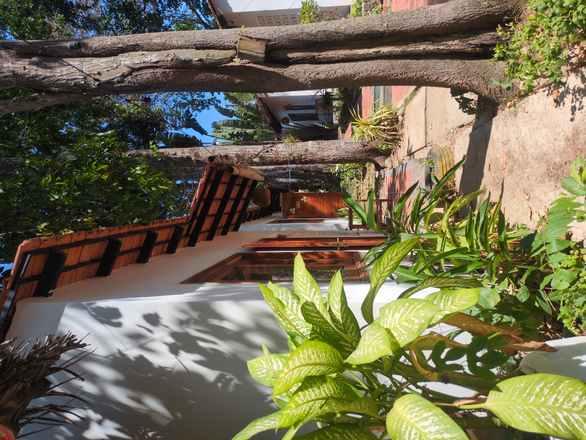 A sideways view of a white building with a red tile roof in Phú Quốc, Vietnam. The building has brown-framed windows. A large tree is above, with its branches providing a partial canopy. Plants in the foreground soften the architectural lines. The ground is a mix of concrete and soil.
