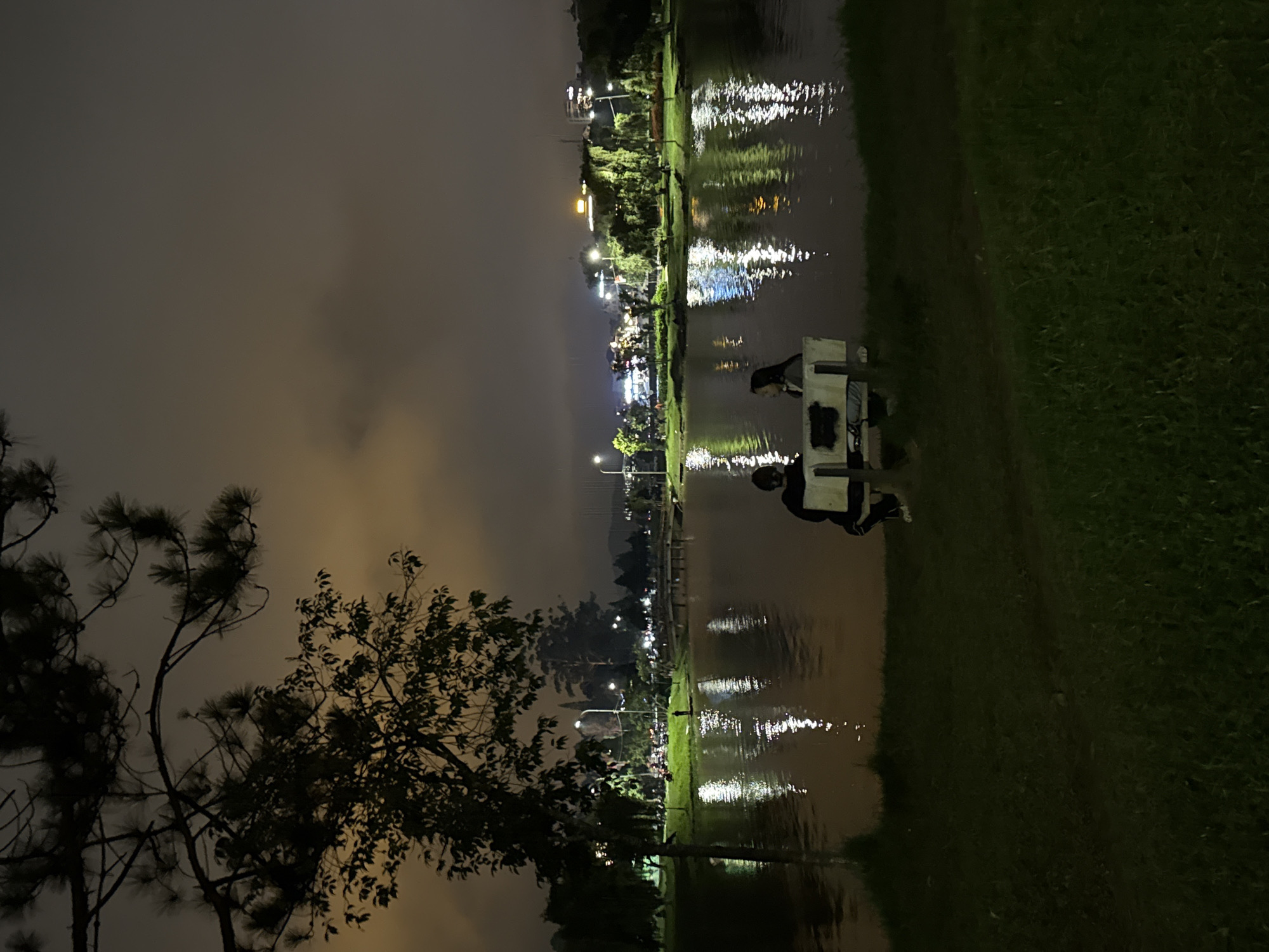 This is a night scene captured in Da Lat, Vietnam, showing a lake surrounded by land and distant city lights under an overcast sky. The image is oriented vertically, but should be viewed as a horizontal landscape.
In the foreground (bottom left when viewed upright), the dark silhouettes of several trees, including pines, are visible against the gloomy night sky. The sky itself is a uniform dark grey-brown, indicating heavy cloud cover, with a subtle yellowish glow from ambient light.
The central and right portions of the image are dominated by a dark body of water, likely a lake, which reflects numerous bright, elongated streaks of light from the far bank. These reflections suggest a vibrant urban area or park with streetlights and buildings across the water. On the near bank (right side), a strip of dark green grass is visible, dimly lit.
Two individuals are present on the grassy bank or a structure extending into the water. One person is clearly seated on a white, rectangular structure, possibly a pedal boat or a fixed bench-like platform. Another person is partially visible next to them. Their faces and specific actions are obscured by darkness, but they appear to be relaxing by the water.
The distant background across the lake features a multitude of artificial lights, suggesting the presence of the city of Da Lat. No discernible text is visible anywhere in the image. The overall atmosphere is peaceful and nocturnal, typical of a lakeside park at night.