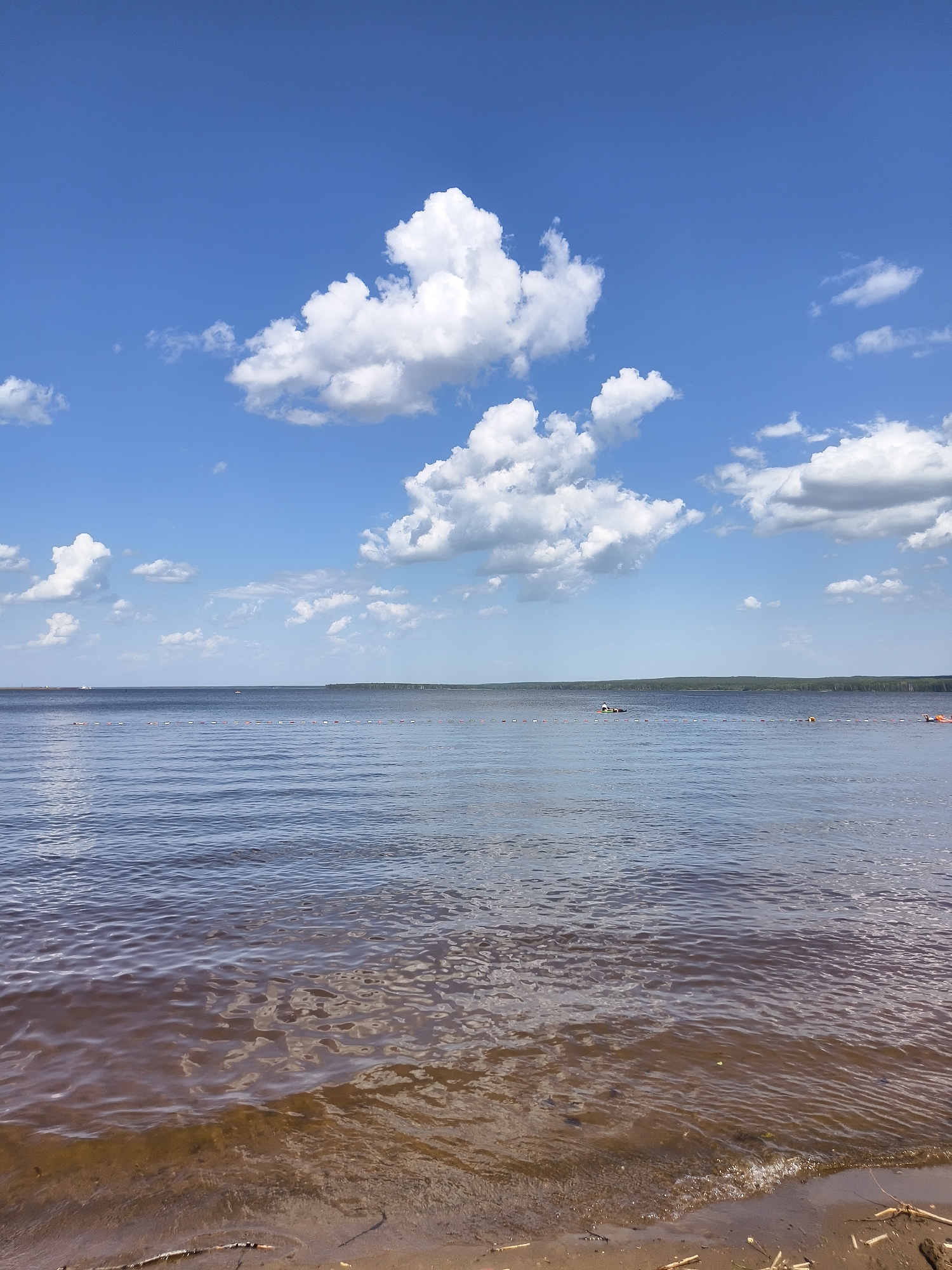 The image depicts a body of water under a blue sky with scattered white clouds. A line of buoys stretches across the water. In the distance, a shoreline is visible with trees. The foreground shows the water's edge with wet sand and some twigs and small debris. The exact location and city are not discernible from the image.