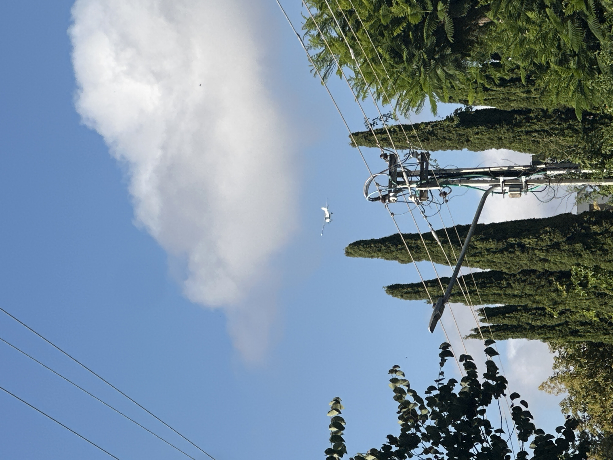 The image shows a blue sky with a large white cloud on the left side. Power lines crisscross the lower left and upper right portions of the frame. An electrical pole with various components is visible in the upper right. Trees are on the right side of the image. A small white object, potentially a kite or a drone, is in the sky between the cloud and the electrical pole. There are also several small black objects in the sky, potentially insects. The location is identified as Kfar Shmaryahu, Israel.