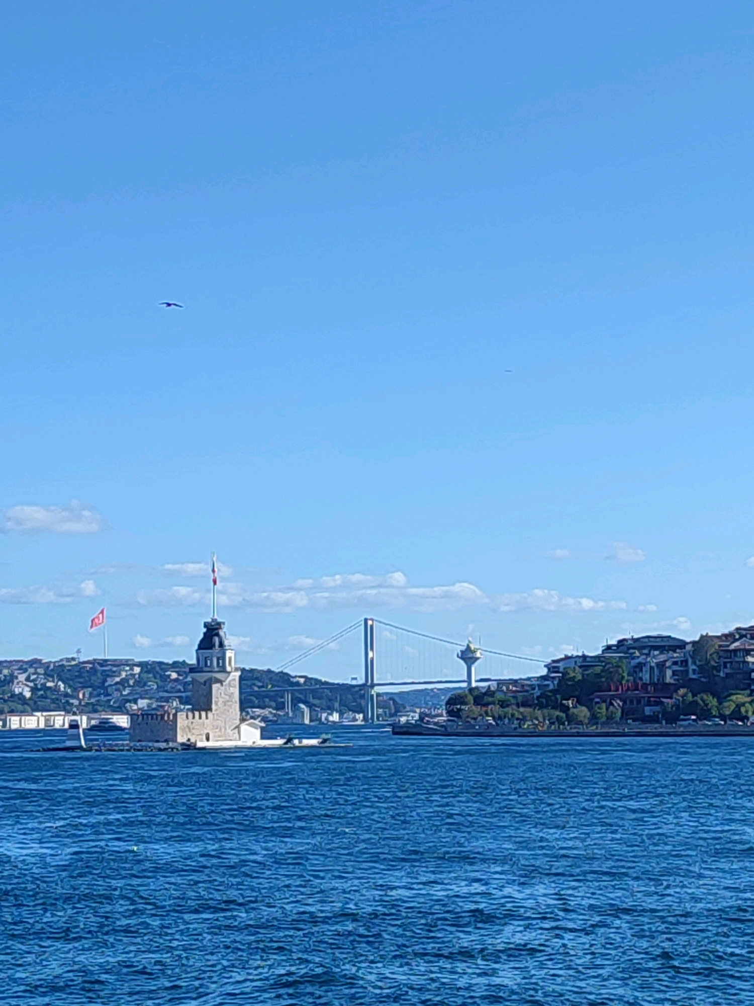 The image shows a wide shot of the Bosphorus Strait in Istanbul, Turkey. The foreground is dominated by the deep blue, slightly rippled water. In the middle ground, on a small island to the left, stands the Maiden's Tower, a historical stone structure with a dark-capped top and a tall flagpole flying the Turkish flag. To the right of the tower, a modern suspension bridge, likely the Bosphorus Bridge, spans the strait, with a tall, slender tower on its right side. The background consists of a hilly coastline lined with buildings and lush green trees, bathed in sunlight. The sky is a clear, bright blue with a few scattered white clouds.
A single dark bird is visible in flight against the blue sky in the upper left quadrant. Another faint dark speck, possibly another bird or an aircraft, is visible further to the right in the sky. The overall impression is a bright, sunny day, likely late morning or early afternoon, given the clear sky and the strong sunlight. The scene evokes a sense of tranquility and historical significance, blending ancient landmarks with modern infrastructure. There is no visible text in the image.