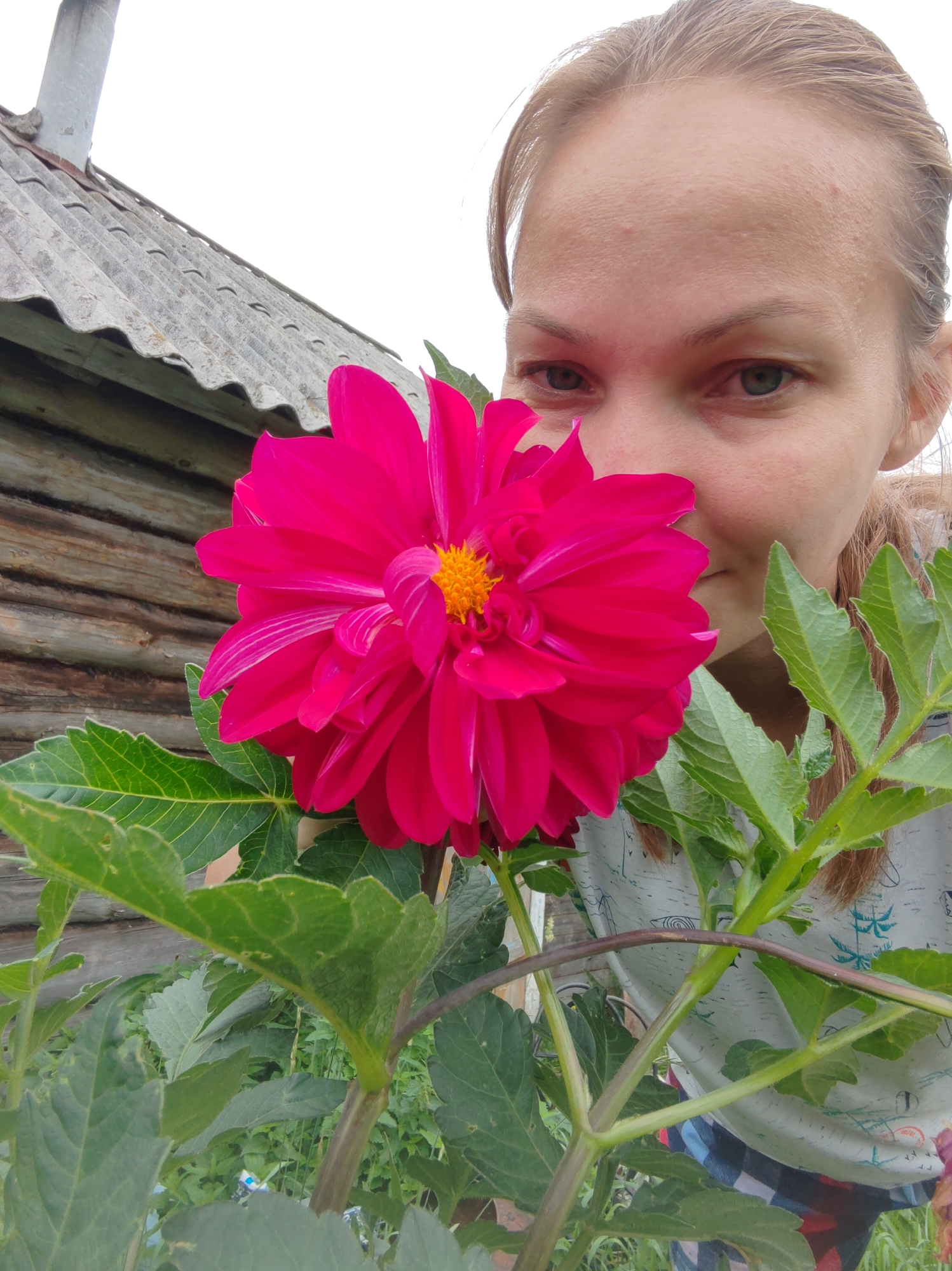 A close-up, eye-level outdoor shot shows a bright pink dahlia flower in the foreground. The flower is partially obscuring the face of a young woman with blonde hair, who is peeking over the top of the flower. Her face is tilted downwards, with her eyes looking slightly to her left. Behind the flower and the woman, a weathered wooden building with a grey, corrugated roof and a chimney is visible. The background is a mix of green foliage and the sky, with some blurry elements suggesting a rural or suburban setting. The overall impression is of a casual, candid moment captured in a natural environment. The image was taken in Чухлэм, Russia.