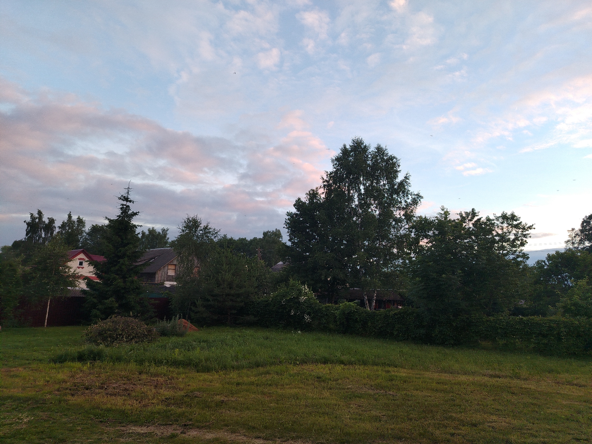 A rural scene under a cloudy sky shows two houses with red roofs and dark gray roofs surrounded by lush green trees and grass. The sky is a light blue with scattered pink and white clouds, indicating it might be sunset or sunrise. In the foreground, a grassy field stretches out, with some dry patches of grass and dirt. The houses appear to be of different sizes and architectural styles, suggesting they might be residential homes. The overall impression is one of peacefulness and natural beauty in a countryside setting.