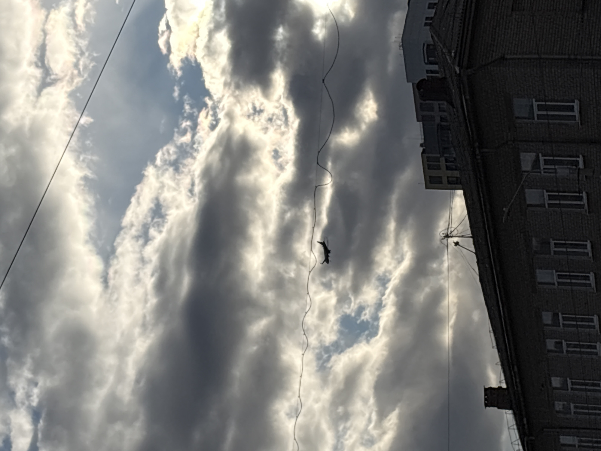The image shows a cloudy sky with a tall brick building on the right side. A wire stretches vertically across the frame, with an object resembling a helicopter suspended from it. The location is the city of Perm, Russia.
