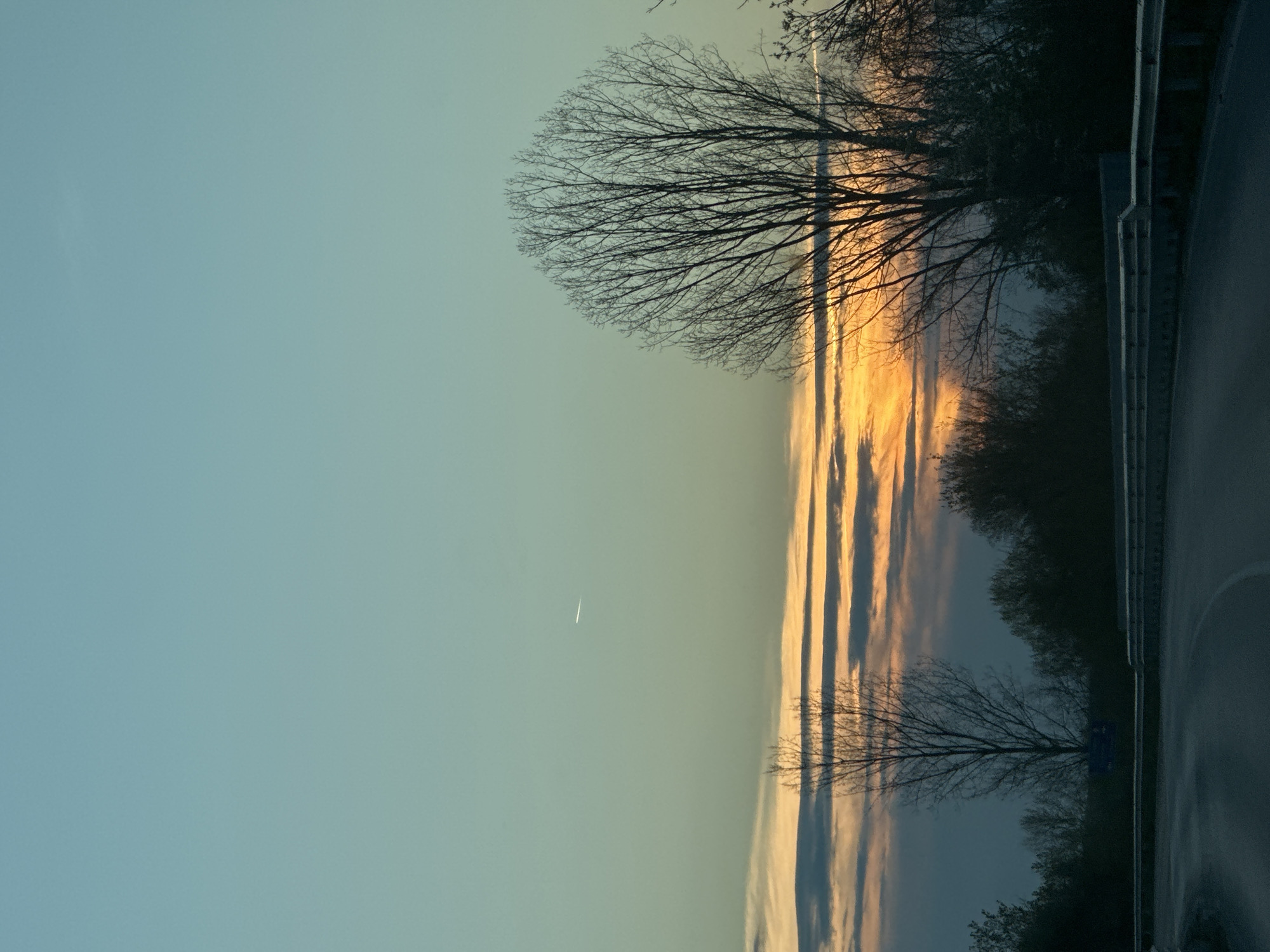 The image depicts a roadside scene in Kesarevo, Bulgaria, during sunset. A bare tree is silhouetted against a sky striated with orange and gray clouds, indicating the setting sun. To the right is a road and a metal guardrail. Further into the background, more trees and foliage are visible. The sky in the upper left is a light blue color. A single contrail is visible in the sky.