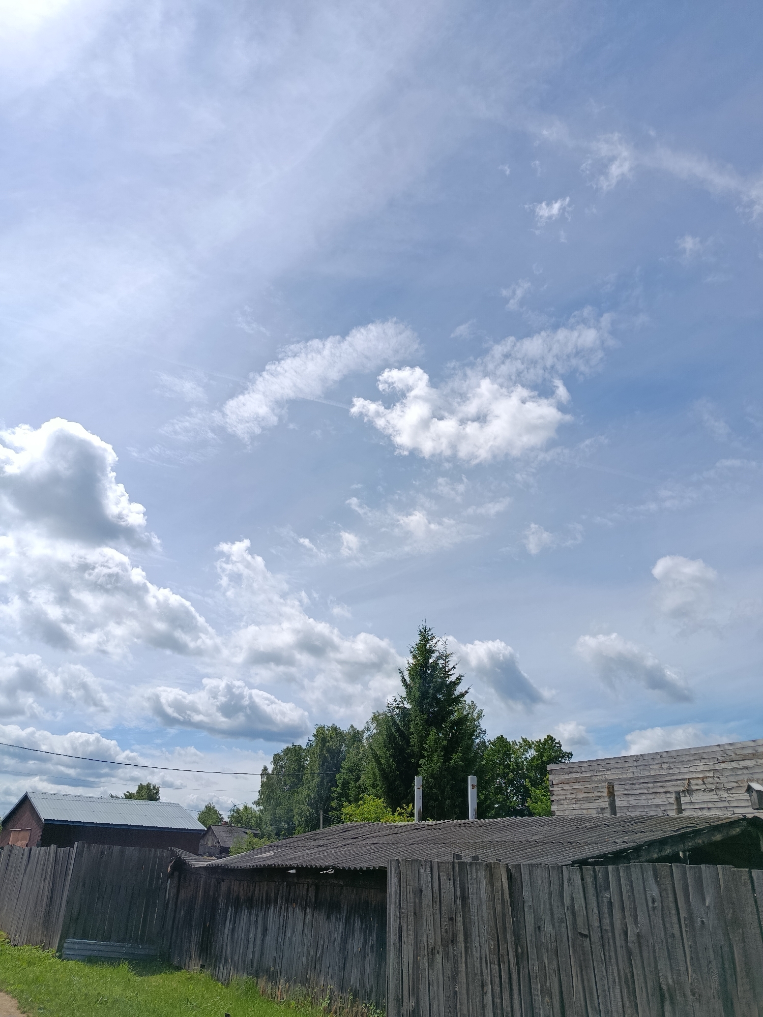 The image depicts a rural scene with a wooden fence in the foreground, a row of modest structures behind it, and a tall coniferous tree situated amidst deciduous trees. The sky is partly cloudy with scattered white clouds against a pale blue backdrop. The wooden fence is constructed of vertical planks, showing signs of weathering. Behind the fence, there is a long, dark-colored building with a gray metal roof, and to its right, a smaller structure with a weathered gray roof, possibly made of corrugated material. Further back, a dense line of green trees forms the background. Several chimneys are visible protruding from the roofs of the structures. The overall impression is that of a village or countryside setting in Verea, Russia, on a bright, possibly summery day. There are no people or animals visible in the image.