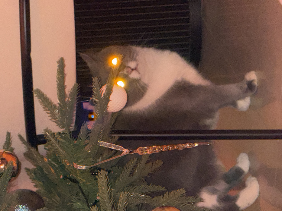 A grey and white cat rests behind a Christmas tree, its body contorted against a dark, slatted backdrop. The cat's eyes are lit up with a bright yellow glow. The tree features green needles, gold and brown ornaments, and a decorative icicle. The cat's paws are visible on the right side of the image.
