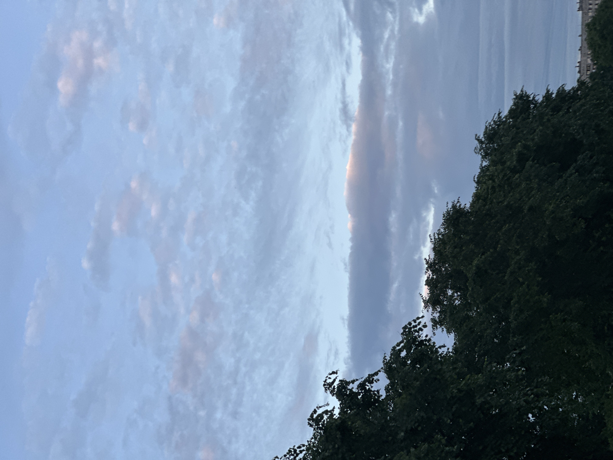 The image captures a twilight sky over Saint Petersburg, Russia, with the upper portion dominated by wispy, pastel-colored clouds against a pale blue backdrop. The lower section of the image features the dark, silhouetted canopy of dense green trees, their leaves rendered indistinct by the low light. In the far distance, barely visible along the horizon, are the rooftops of buildings, suggesting an urban environment. The overall mood is serene and calm, characteristic of the end of the day in a city setting. There are no people or explicit actions depicted in the image.