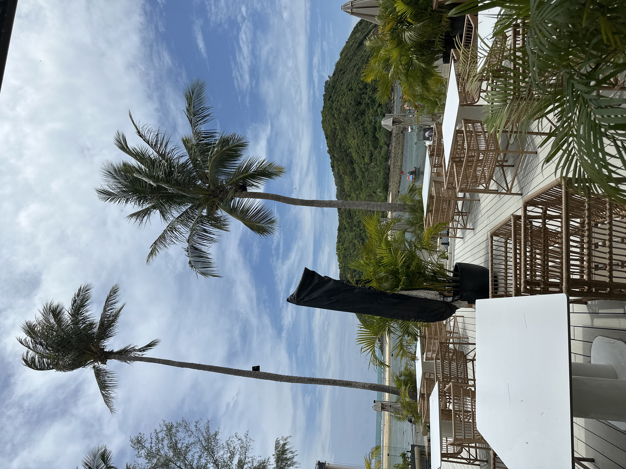 A serene tropical coastal scene, likely a restaurant or resort outdoor seating area, is captured on a bright, partly cloudy day in ตำบลเกาะพะงัน, Thailand. In the foreground, numerous white rectangular tables paired with light brown wicker chairs are arranged on a light-colored wooden deck, surrounded by potted green tropical plants and natural foliage. A large black umbrella, currently folded, stands near some of the seating.
Two prominent tall palm trees with dense green fronds frame the view, reaching towards a clear blue sky streaked with wispy white clouds. Beyond the seating area and palm trees, a calm body of water, likely the sea or ocean, stretches out, revealing a sandy shoreline in the distance with a few small boats or kayaks. The background is dominated by a large, lush green hill or mountain covered in dense foliage, completing the picturesque tropical landscape. The scene appears peaceful and inviting, set up for relaxation or dining. There are no people visible, nor is any discernible text present in the image.