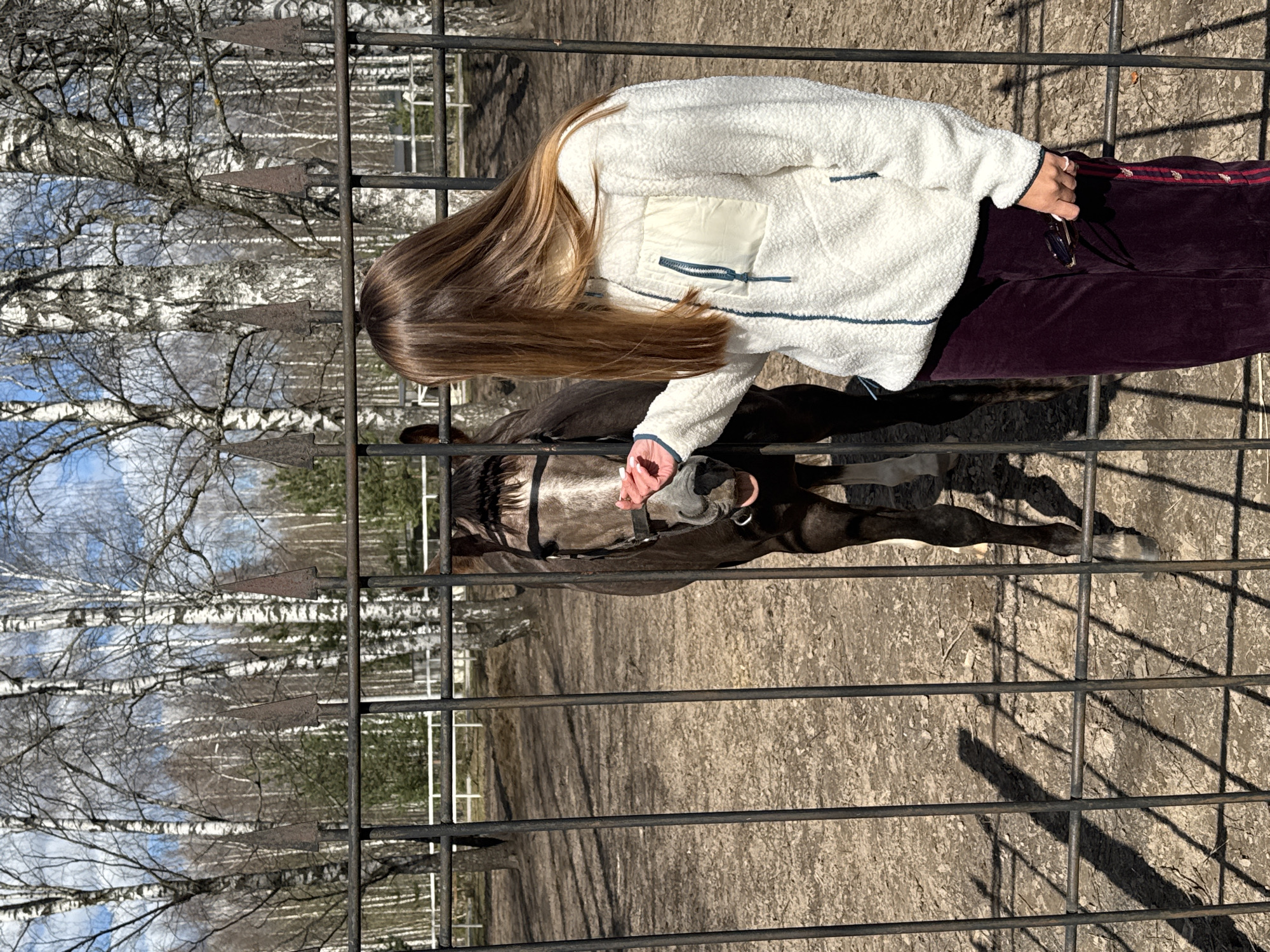 A young woman stands outside a metal fence, reaching through to touch the muzzle of a dark horse with a light-colored face. The woman wears a white fleece jacket and burgundy track pants with a red stripe. She holds a pair of glasses in her left hand. The horse is saddled. Behind the fence, a dirt paddock extends to a line of bare birch trees under a partly cloudy sky. The location is possibly Вершилово, Russia.