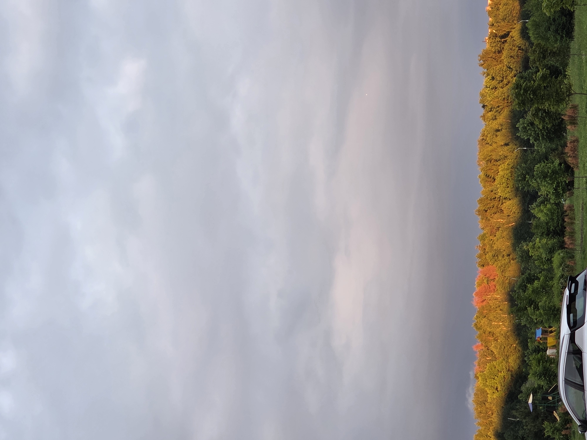 This image depicts an outdoor landscape in the city of Unknown, Unknown, under an overcast sky, likely at sunrise or sunset.
The upper approximately two-thirds of the frame is dominated by a dense, light gray and white stratocumulus cloud layer. Towards the lower portion of the sky, a subtle gradient shifts to a darker, more muted gray-purple band directly above the horizon, with a faint pinkish hue emerging towards the lower right. A small, bright white dot, consistent with a celestial body like Venus, is visible in the lower right quadrant of the sky.
The horizon line is formed by a dense, horizontal band of deciduous trees whose canopies are intensely illuminated by a low-angle light source, casting a vibrant golden-yellow glow. Within this golden band, a distinct cluster of trees towards the left-center exhibits reddish-pink foliage. Faint building structures are discernible above the tree line on the far right.
In the foreground, a field of green grass with some drier patches extends across the bottom. Scattered younger, darker green trees are present, partially obscuring the midground. On the left side of the foreground, a children's playground structure with a blue peaked roof and a swing set is partially visible. Further to the right, another yellow and blue playground structure is largely obscured by foliage. Two white-poled streetlights emerge from the midground trees. In the bottom-left corner, the rear section of a white SUV or hatchback is visible, showing a dark rear window, a spoiler, and roof rails. No people are visible.
