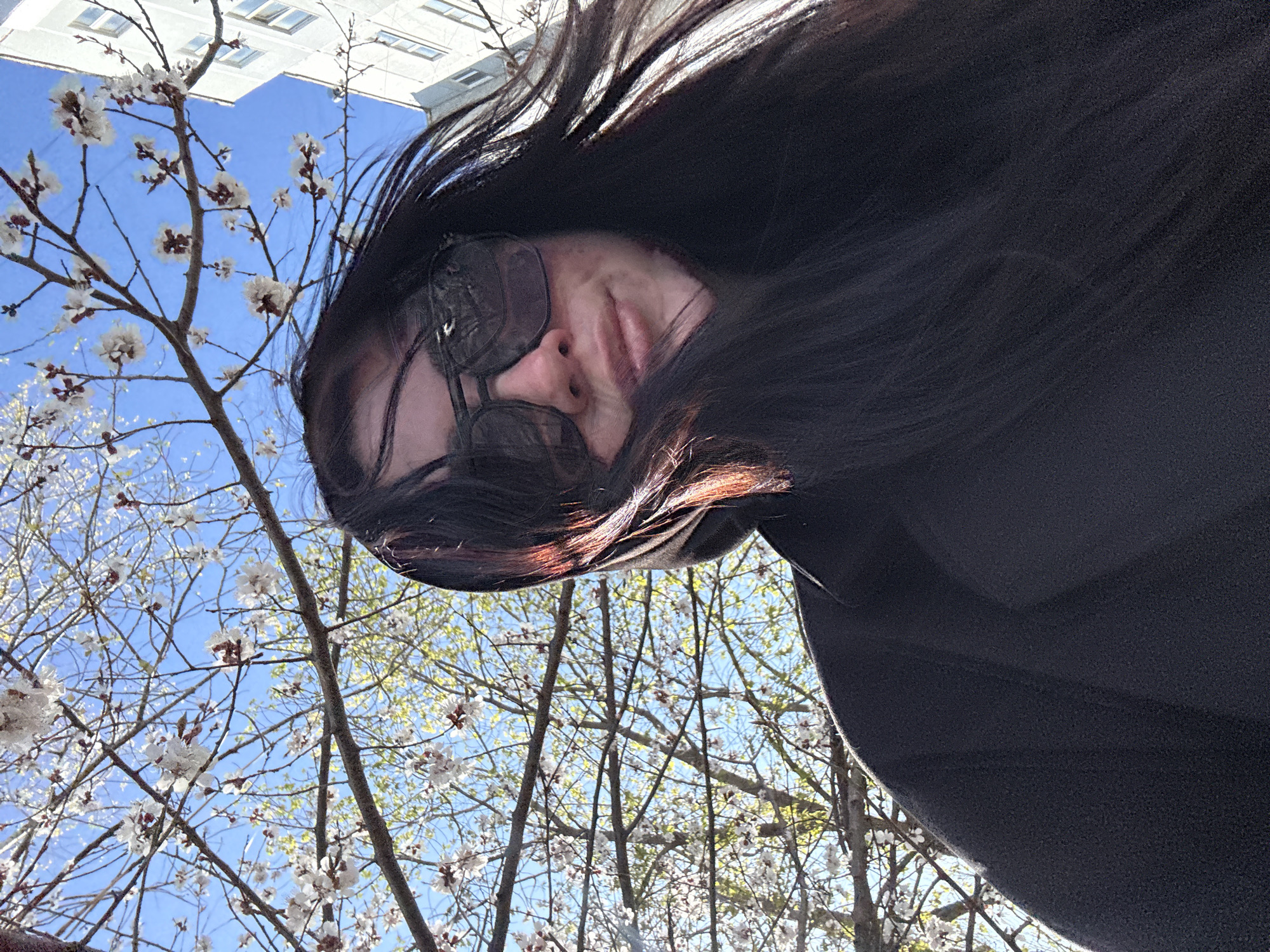 This is a rotated, upward-facing shot featuring a person against a bright sky and blooming trees. The main subject is a person, likely female, whose head and upper torso are visible from a low angle. She is looking towards the camera, wearing dark sunglasses that obscure her eyes. Her expression suggests a slight smile or smirk. She has long, dark hair, some strands of which are illuminated by the sun, showing a reddish-brown highlight. She appears to be wearing a dark, possibly hooded, garment.
The background consists of a clear, vivid blue sky, indicating bright daylight and good weather. Numerous branches of a tree, covered in delicate white and light pink blossoms, fill a significant portion of the frame, strongly suggesting it is springtime. In the upper part of the image (relative to the sky's orientation), a segment of a modern building with multiple windows is visible, hinting at an urban or suburban environment. The scene evokes a feeling of a sunny, pleasant day. There is no visible text in the media file.