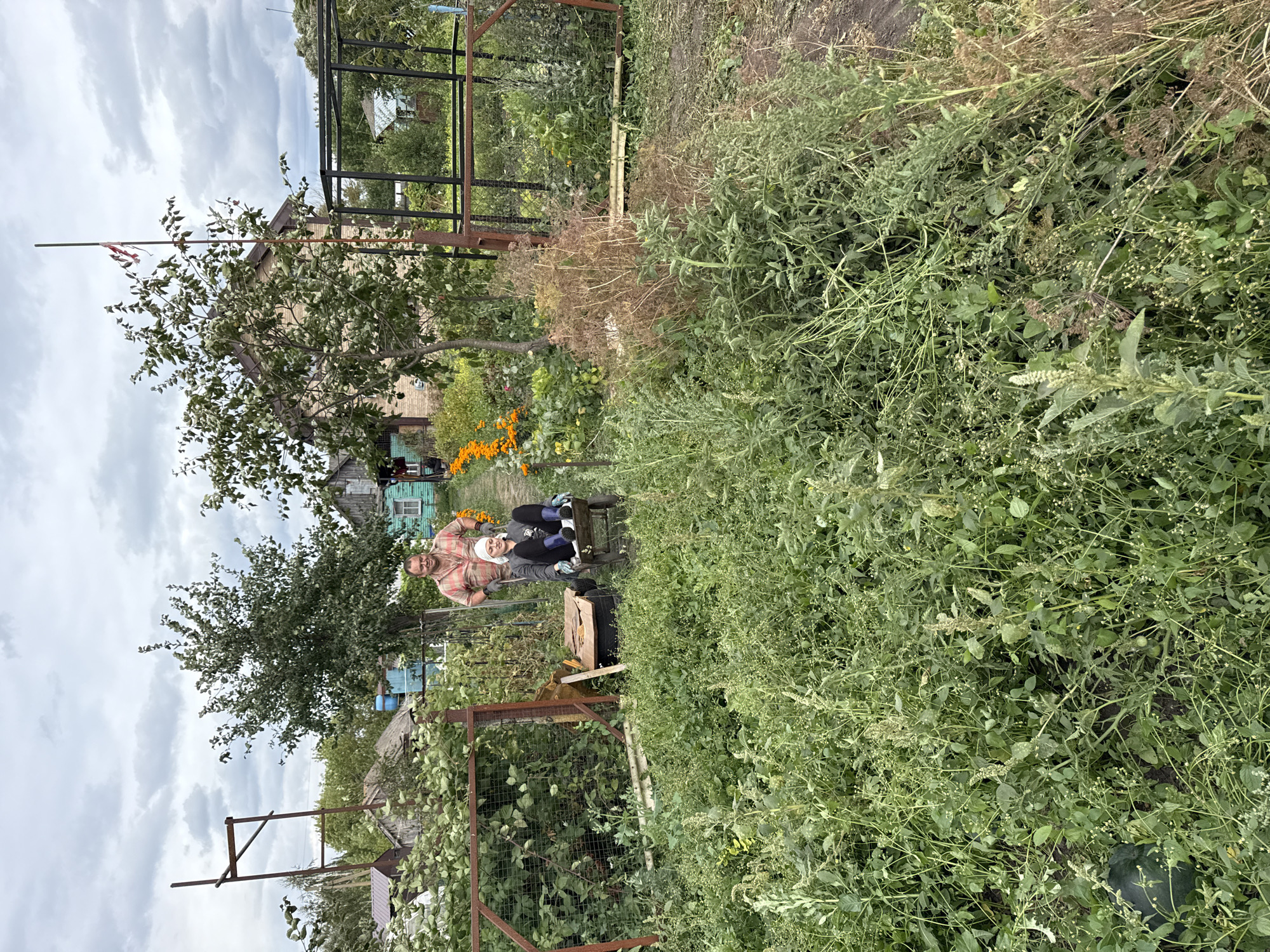 In the city of Fominka, Russia, a man in a plaid shirt pushes a woman seated in a wheelbarrow through an overgrown garden. The garden is filled with tall green plants, weeds, and some orange flowers. A watermelon is visible in the lower left of the frame. In the background, there are several houses and a fence. The sky is cloudy.