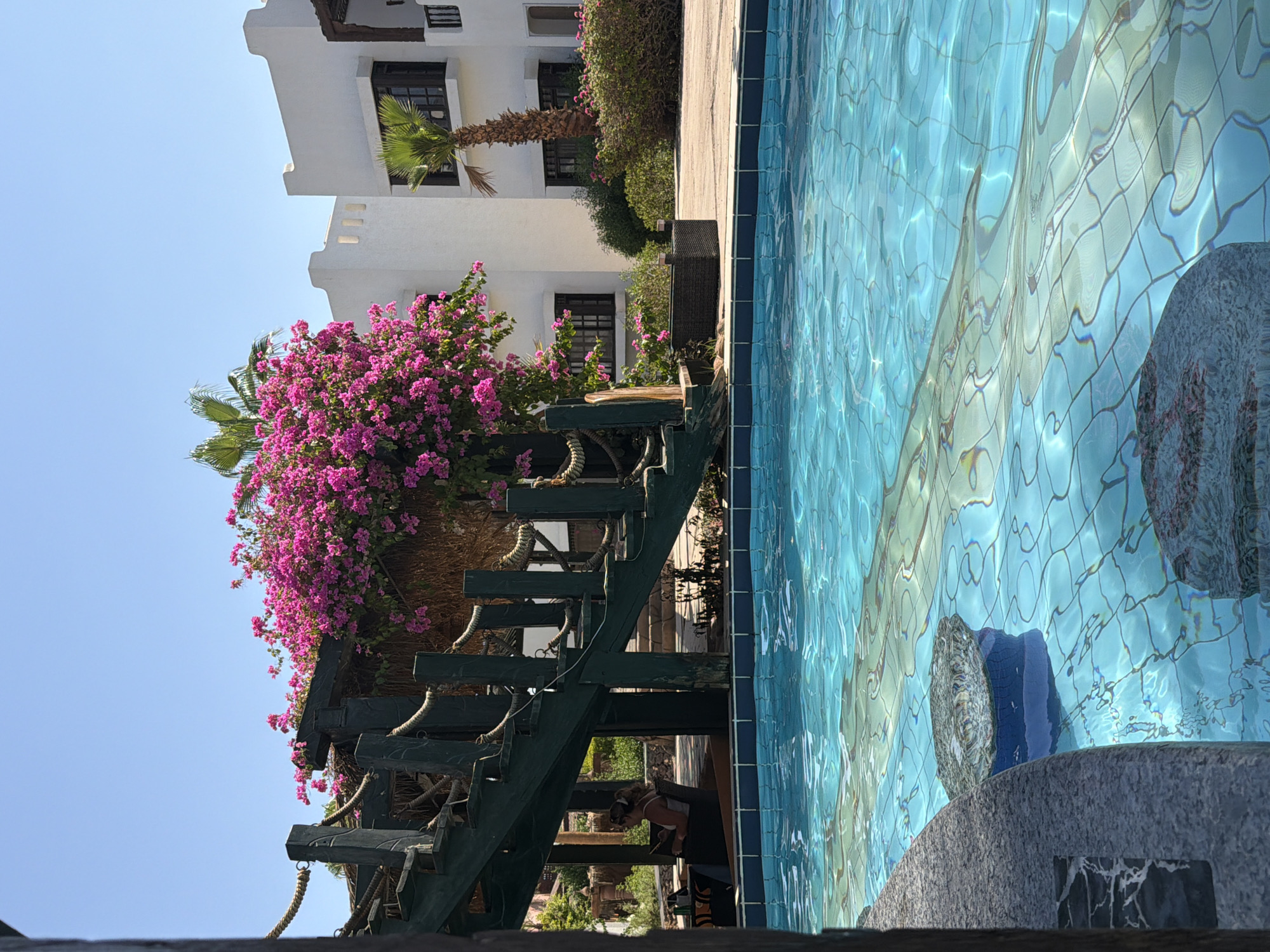 A bright, sunny outdoor scene depicts a poolside area with a blue tiled swimming pool in the foreground. The pool water is clear and reflects the sunlight, with visible tiling patterns on the bottom. A stone-like edge of the pool is visible on the left. In the middle ground, a weathered wooden structure with stairs, adorned with vibrant pink bougainvillea flowers, is situated. A person is seated at a table beneath this structure, appearing to be engaged with a device. Behind the wooden structure and to the right, a row of white, cube-shaped buildings with dark-trimmed windows and balconies characteristic of resort architecture in Sharm El Sheikh, Egypt, are visible. Palm trees are interspersed among the buildings and in the background. The sky is a clear, pale blue.