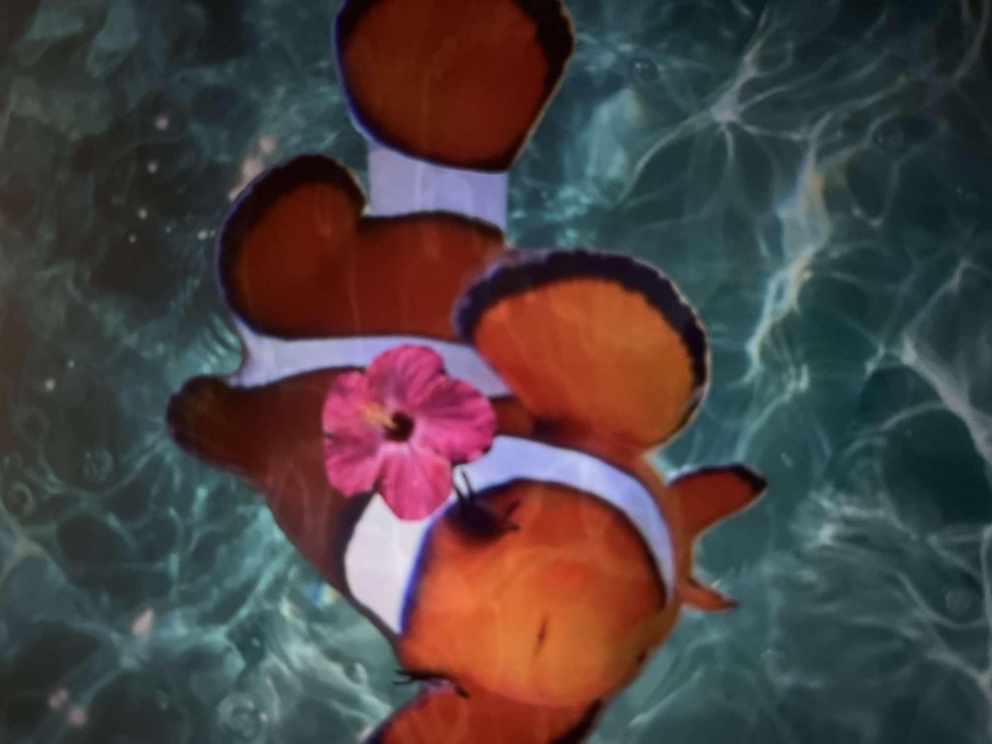 The media file is a close-up, top-down shot of a clownfish with a flower on its head, swimming in clear blue water. The clownfish is orange with white bands and black outlines. It appears to be part of an animated scene, possibly from a movie or video game, given its slightly stylized appearance and the presence of the artificial flower. The water is depicted with shimmering light patterns, suggesting sunlight filtering through the surface. The overall impression is whimsical and serene, evoking an underwater environment. There is no visible text in the image.