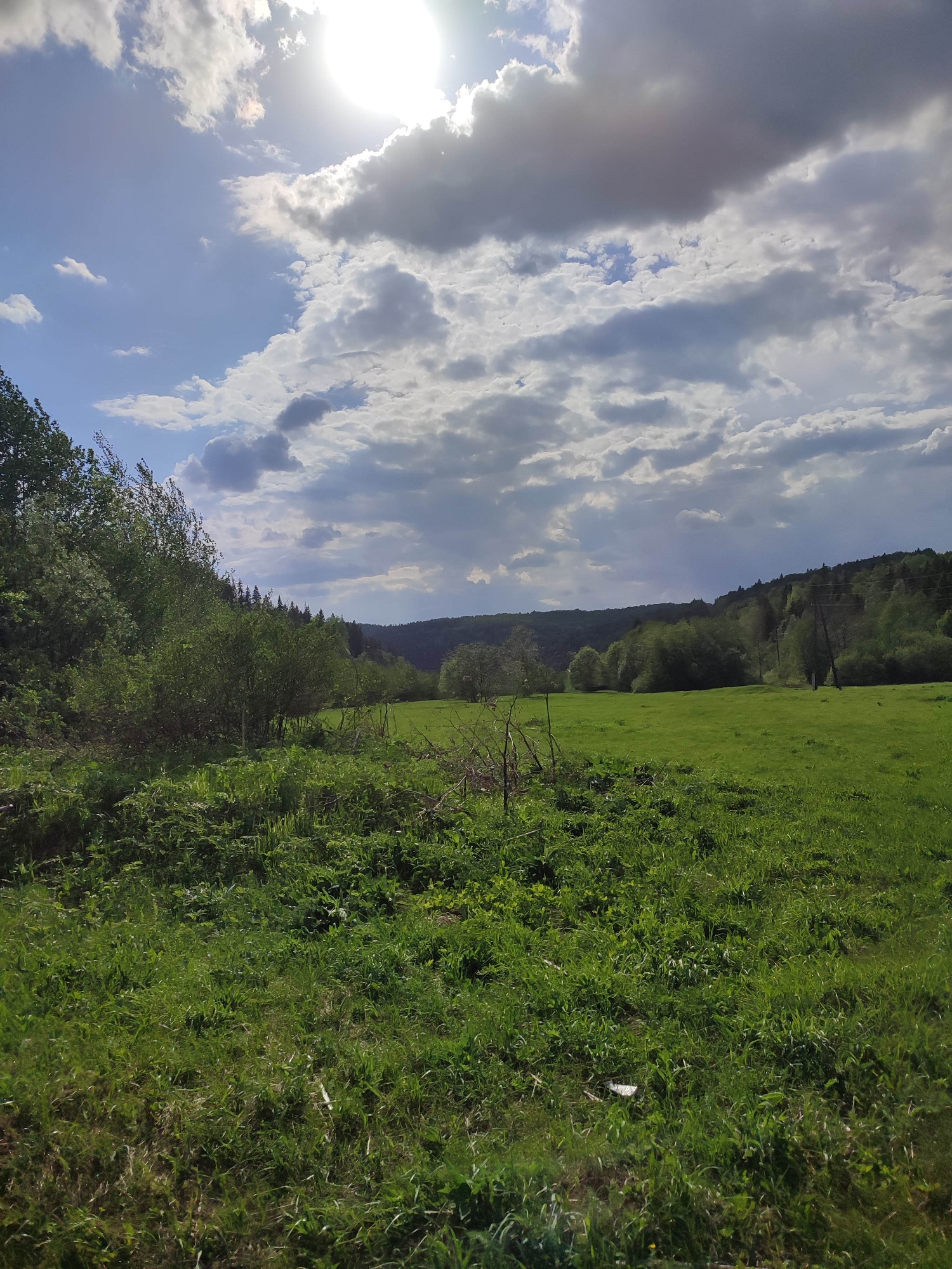 The image shows a green meadow in Vil'va, Russia. The meadow is surrounded by trees and shrubs. The sky is cloudy, with the sun shining through the clouds. The ground is covered in green grass and vegetation. There are no people visible in the image.