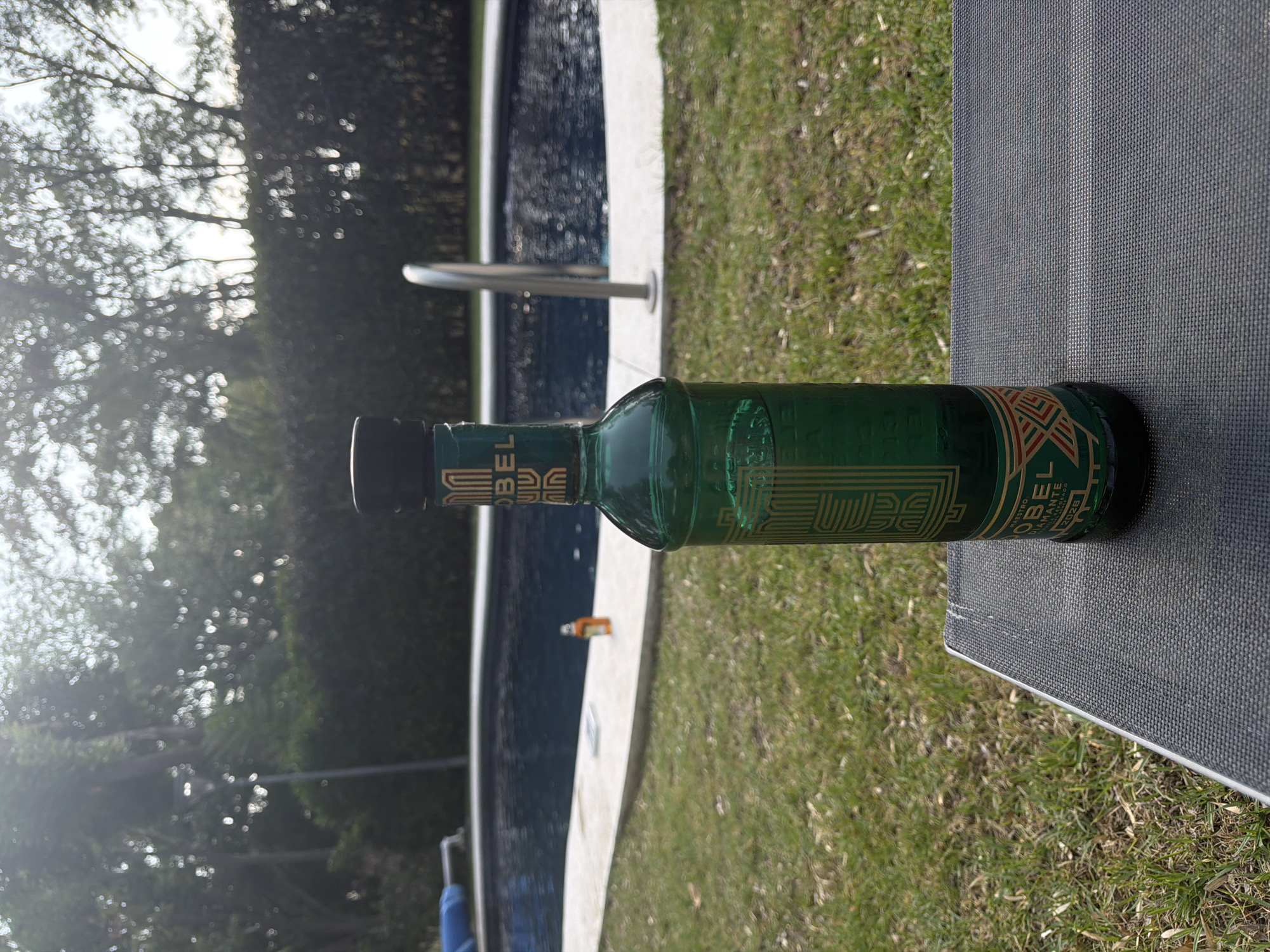 The scene is outdoors near a pool, likely in a residential area. A green bottle of "Nobel" spirit is lying horizontally on a dark gray surface, possibly a lounge chair. The background shows green grass, a swimming pool with a silver ladder, and trees in the distance. The location is Santa Ana Yancuitlalpan (Chilhuacán), Mexico. There are no people visible. The primary subject is the bottle of Nobel spirit.