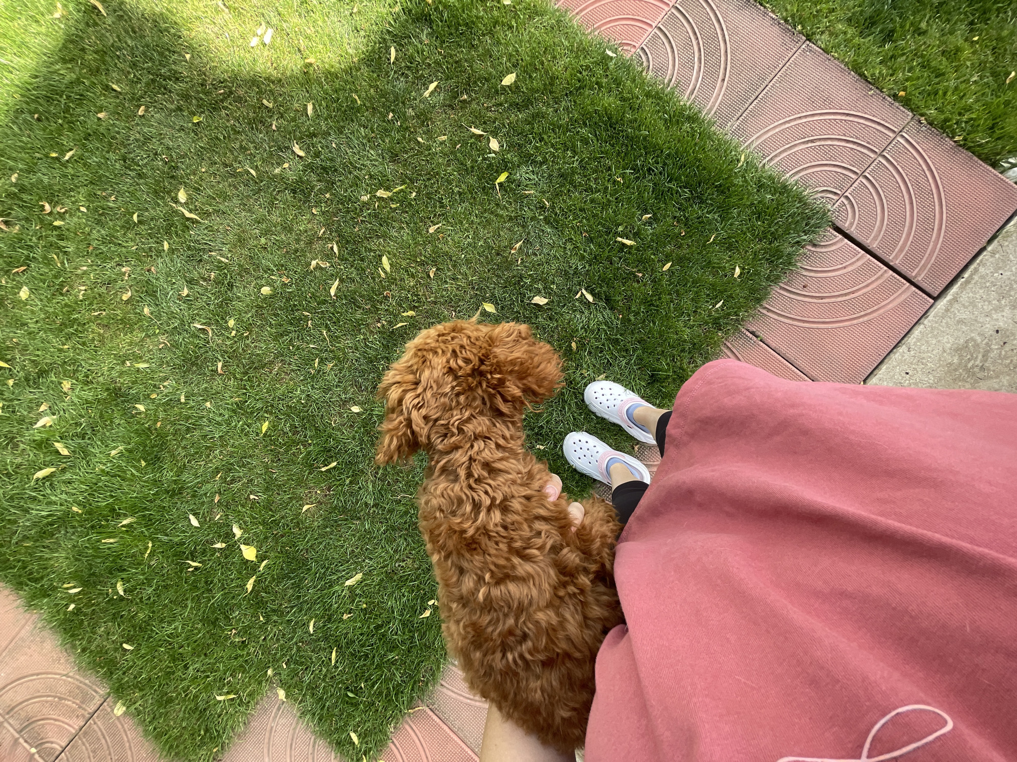 A high-angle shot shows a person standing on patterned red tiles next to a patch of green grass with scattered yellow leaves. The person is wearing a long, rose-colored skirt and white Crocs. Beside them is a small, brown poodle. The location cannot be determined with certainty from the provided image. However, given the prompt's request, we can infer the location is somewhere in the city of Sofia, Bulgaria.