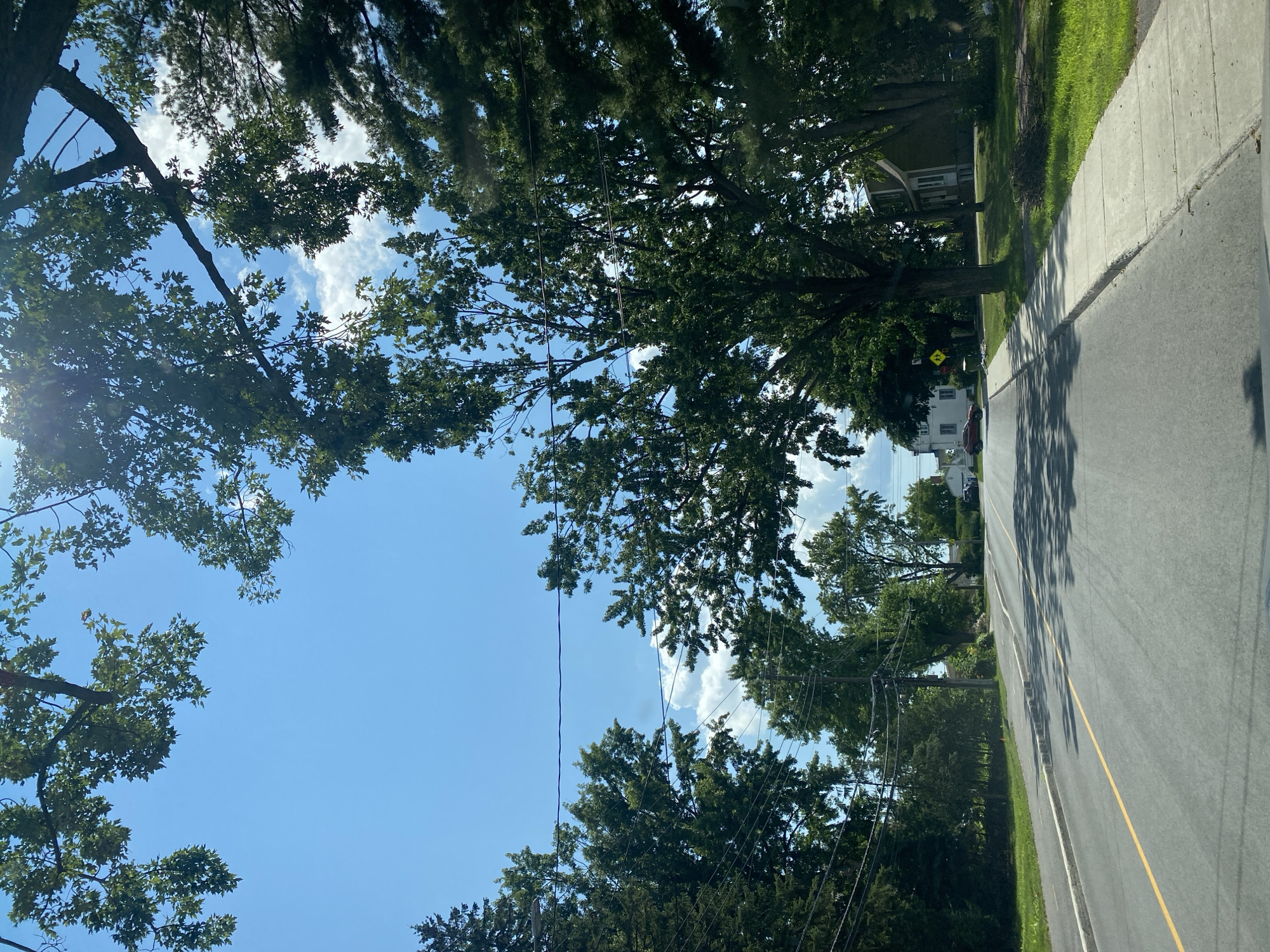 The image shows a suburban street scene in Pointe-Claire, Canada, on a sunny day with scattered clouds. The perspective is from a vehicle driving on an asphalt road with a yellow dividing line. Lush green trees line both sides of the street, with some branches extending over the road and casting shadows. Several houses are visible behind the trees, indicating a residential area. Utility poles and power lines are present along the side of the road. A sidewalk runs alongside the street, and patches of green grass and some bushes are visible. In the distance, a red car is parked near one of the houses, and a yellow school crossing sign is visible on the right side of the road. The sky is a bright blue.