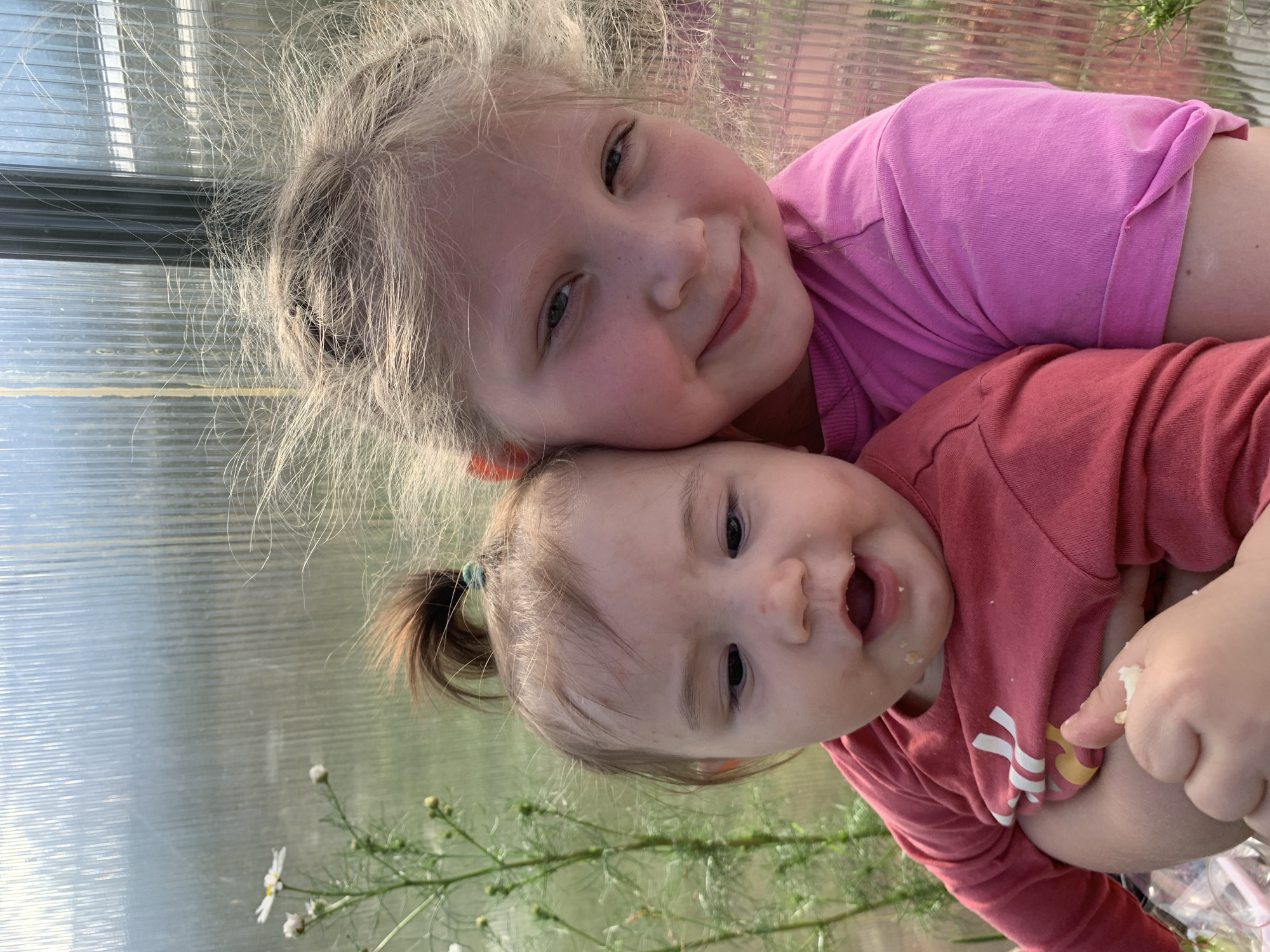 The image features two young girls cuddling together, with the younger child being held by the older one. The older girl, with blonde hair and freckles, is looking at the camera with a sweet smile, her head resting on her sister's shoulder. She is wearing a pink t-shirt. The younger child, with her hair tied in a small ponytail, is looking up with a wide, open-mouthed smile, possibly laughing. She is wearing a reddish-pink t-shirt. Their faces are close together, conveying a sense of warmth and affection.
The background appears to be inside a greenhouse or a sunroom, with translucent, ribbed panels forming the walls and ceiling, allowing natural light to filter through. In the lower part of the frame, some delicate green plants with small white flowers are visible, suggesting an outdoor or garden setting accessed from the interior. The lighting suggests it is daytime, likely a bright and sunny day given the natural light. The overall atmosphere is tender and joyful, highlighting the bond between the two sisters. No visible text is present in the image.