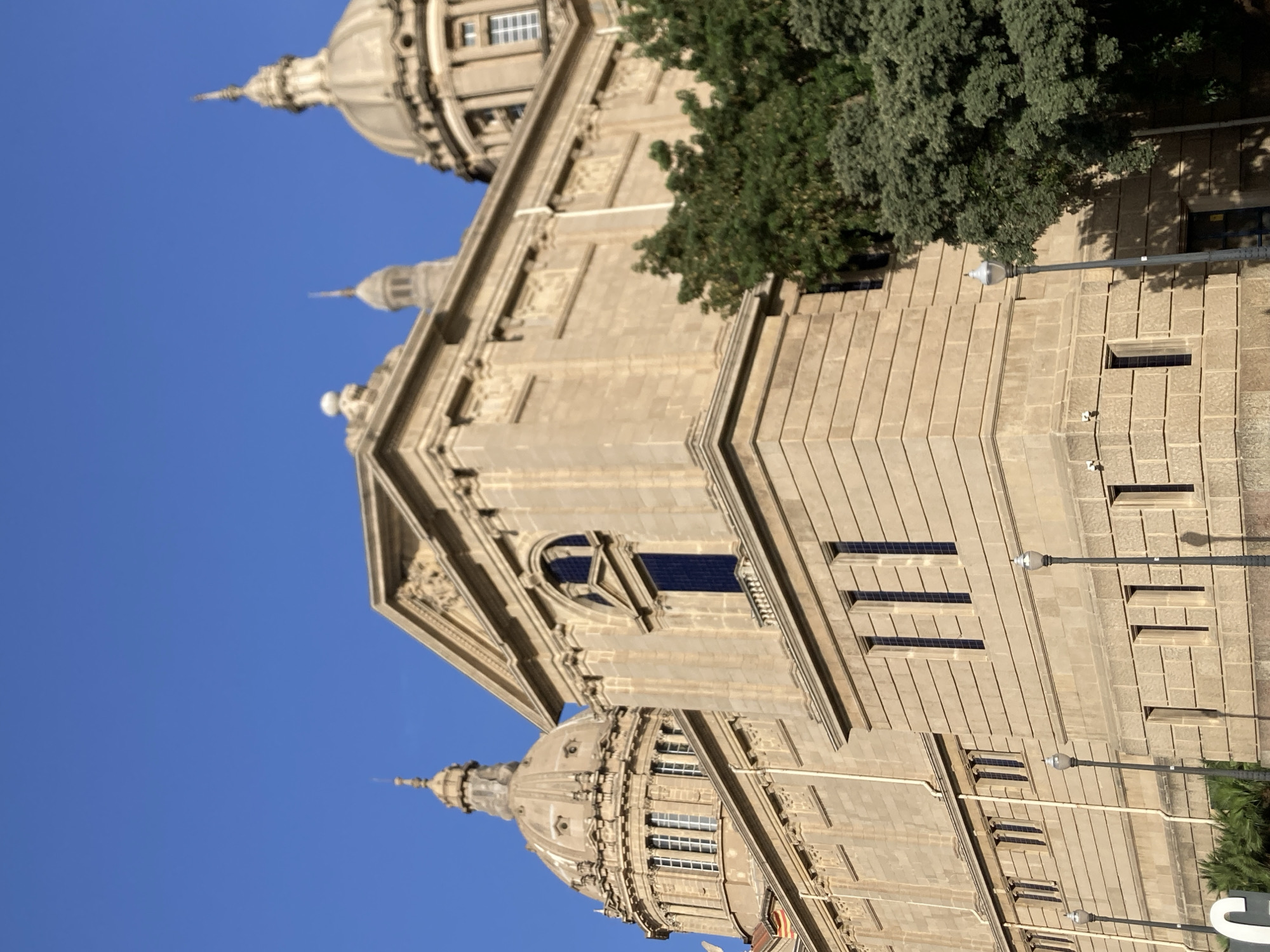The image captures a portion of the Palau Nacional, a monumental palace in Barcelona, Spain, located on Montjuïc hill. The architecture is characterized by its grand scale, ornate detailing, and sandstone facade. The palace features multiple domes, arched windows, and classical columns, all rendered in a light, warm stone. The sky above is a clear, vibrant blue, suggesting a sunny day. In the foreground, a lush green tree with dense foliage partially obscures the lower section of the building, adding a natural element to the urban landscape. Several lampposts with classic designs are also visible along the street in front of the palace. The perspective is from below, looking up at the imposing structure, emphasizing its height and grandeur. There are no people visible in the frame, and the scene is tranquil and architectural.