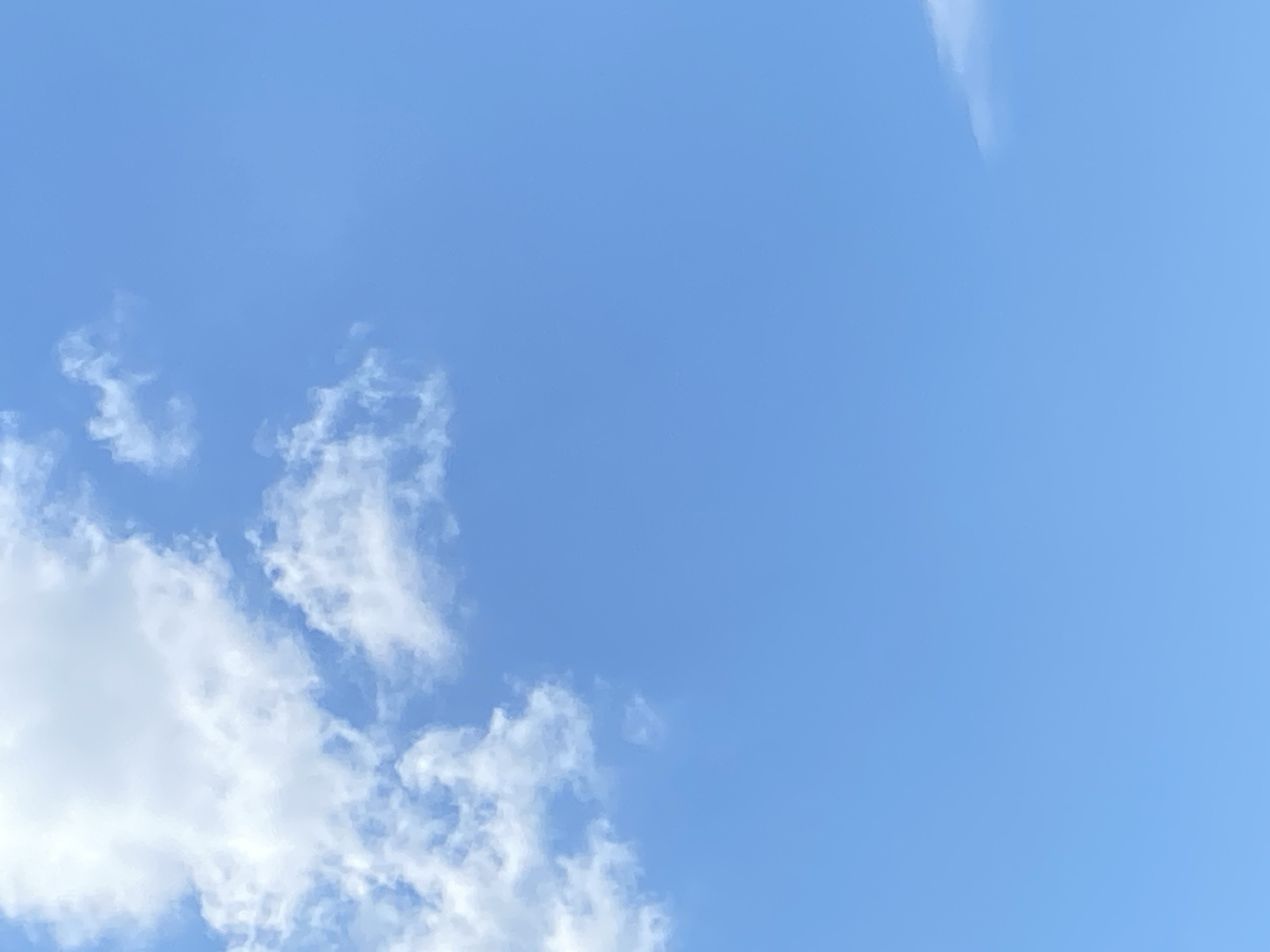 A clear blue sky dominates the frame, with a few scattered white clouds. The clouds are concentrated in the upper left quadrant of the image, appearing fluffy and wispy. A small, isolated cloud is visible in the lower right corner, appearing as a faint smudge against the blue. The scene suggests an outdoor environment on a bright day.