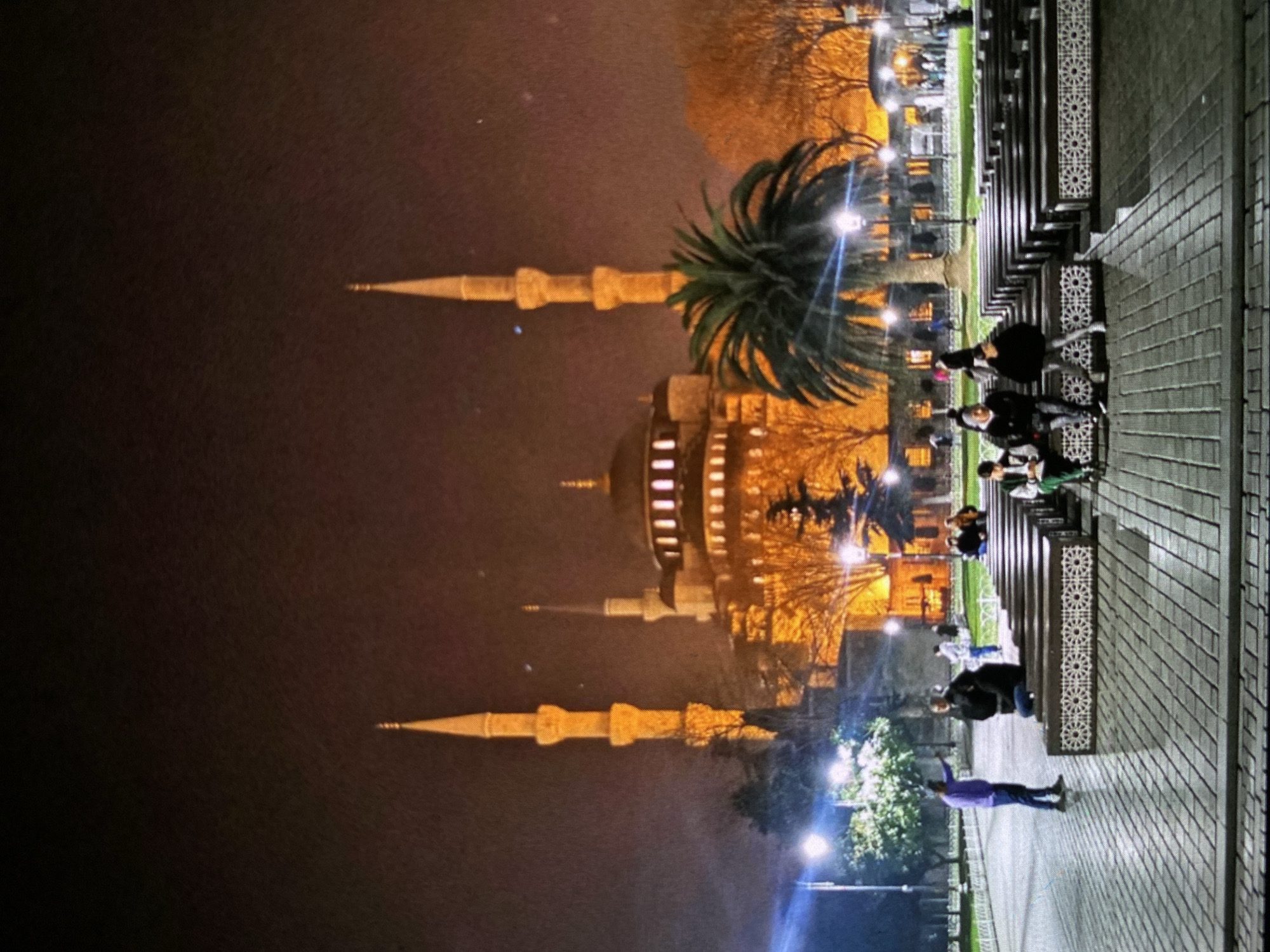 The image captures a nighttime scene dominated by a large, illuminated mosque. The mosque, positioned on the left, features a prominent central dome and multiple slender minarets, each with several balconies, all glowing with warm golden light against the dark sky. Palm trees with lush green fronds are visible in the mid-ground, also lit up, casting a vibrant contrast with the darker surroundings.
On the right, a paved walkway or courtyard stretches into the distance, lined by a decorative wall or fence adorned with intricate geometric patterns. Several individuals are present in this area. In the immediate foreground, a person wearing a purple shirt and dark pants stands with one arm raised. Further along the pathway, other people in dark attire are seen walking or standing near benches, which also feature decorative elements. The scene is brightened by various artificial light sources, including streetlights and the mosque's own illumination, creating a serene yet lively atmosphere. The architectural style of the mosque strongly suggests it is a significant historical structure, likely the Sultan Ahmed Mosque (Blue Mosque) in Istanbul, Turkey. There is no visible text in the image.