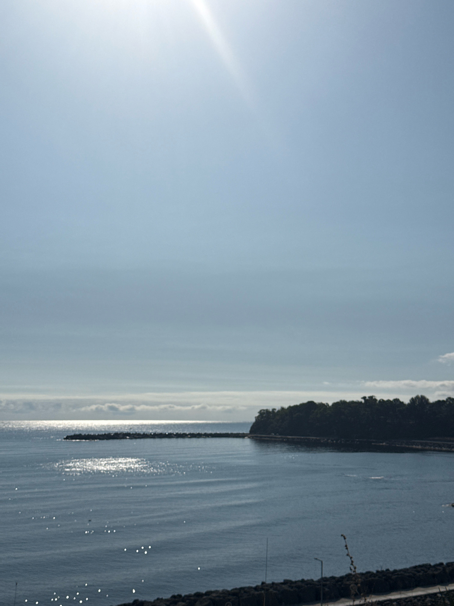 The image depicts a serene seascape in Kiten, Bulgaria, under a clear, bright sky. The sun is high in the sky, casting a strong glare on the water and creating a sparkling effect. A long, rocky breakwater stretches across the middle of the frame, separating the calmer waters of a bay or harbor from the open sea. The water is a deep blue, with gentle ripples reflecting the sunlight. Along the shore, a dense line of dark green trees forms a backdrop, suggesting a coastal forest or park. The foreground shows a paved walkway or road lined with low, dark vegetation, possibly a park area or promenade. The scene conveys a sense of tranquility and natural beauty, typical of coastal landscapes. There are no people or specific actions visible in the image, focusing solely on the environment and its features.