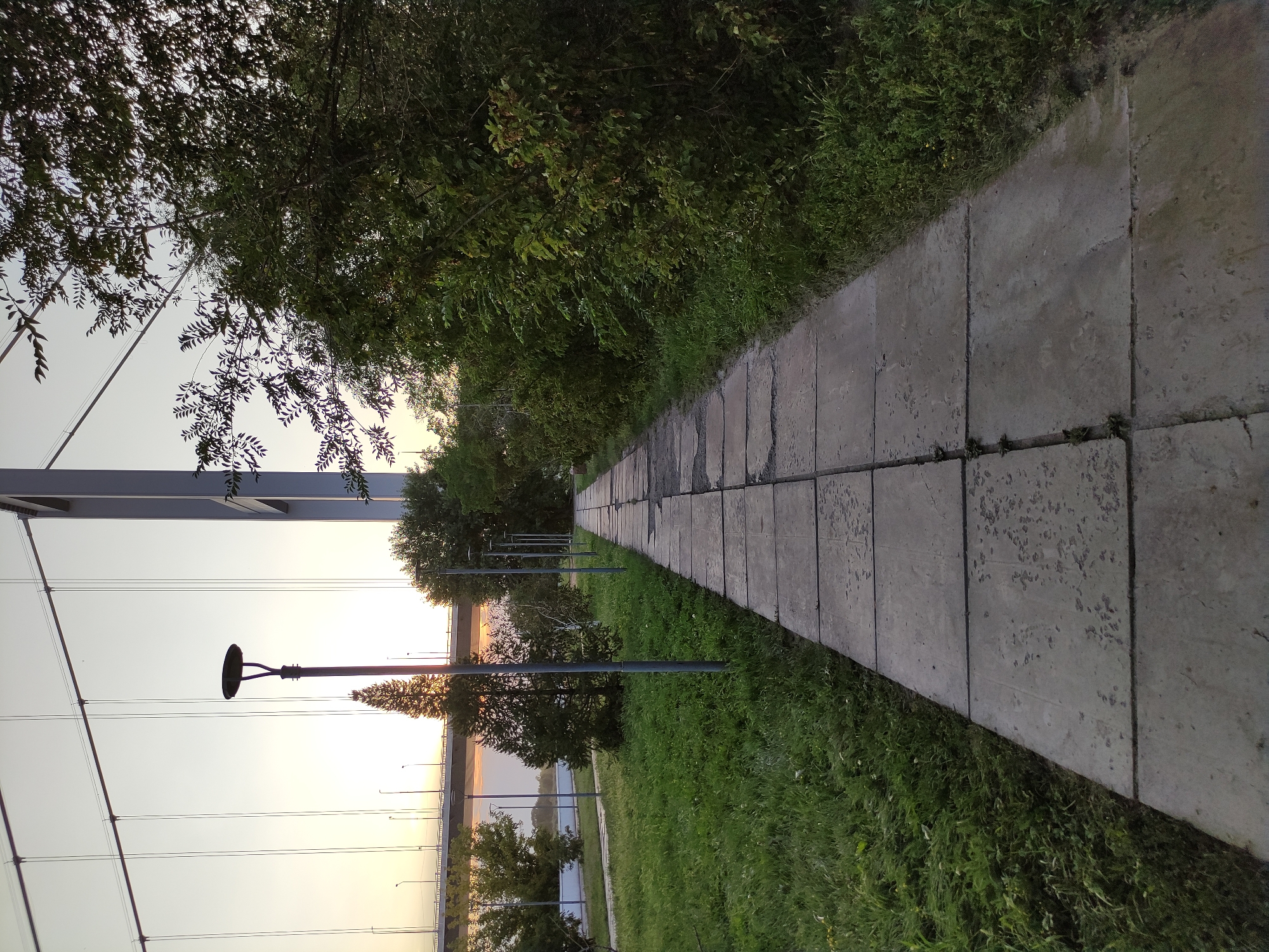 The image depicts a paved walkway in a park-like setting, likely in the city of Semey, Kazakhstan. The walkway is composed of large, square concrete slabs and runs diagonally into the distance, lined on the right by dense green foliage. To the left of the walkway is a grassy area with scattered trees and several tall, modern streetlights. In the background, a large suspension bridge stretches across a body of water, with the sky a pale gradient of orange and blue, suggesting either dawn or dusk. The bridge structure and cables are prominent in the upper portion of the image. No people or animals are visible in the scene. The overall atmosphere is serene and natural, with man-made elements like the bridge and walkway integrated into the landscape.